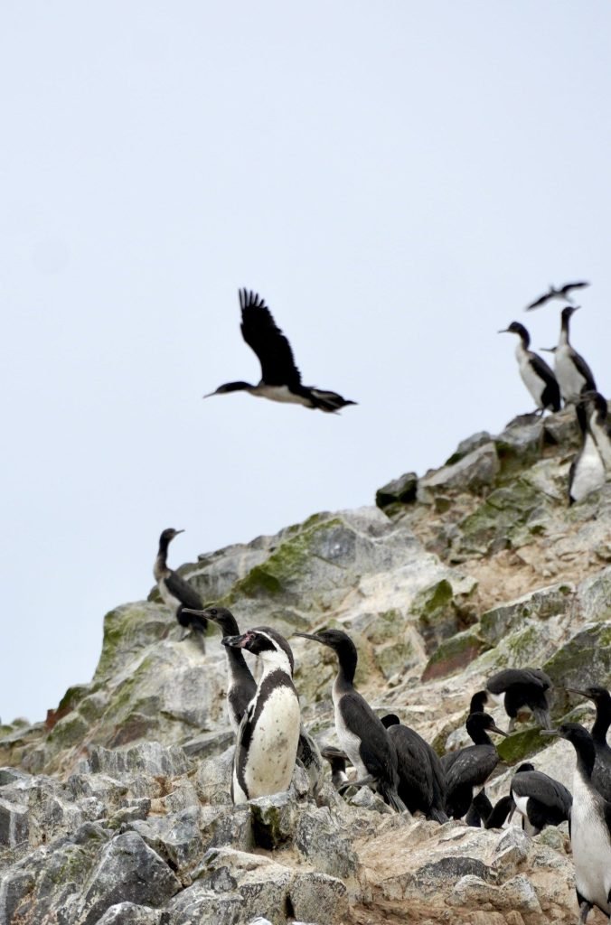 itineratio de 15 días en perú, tour por isas ballesta