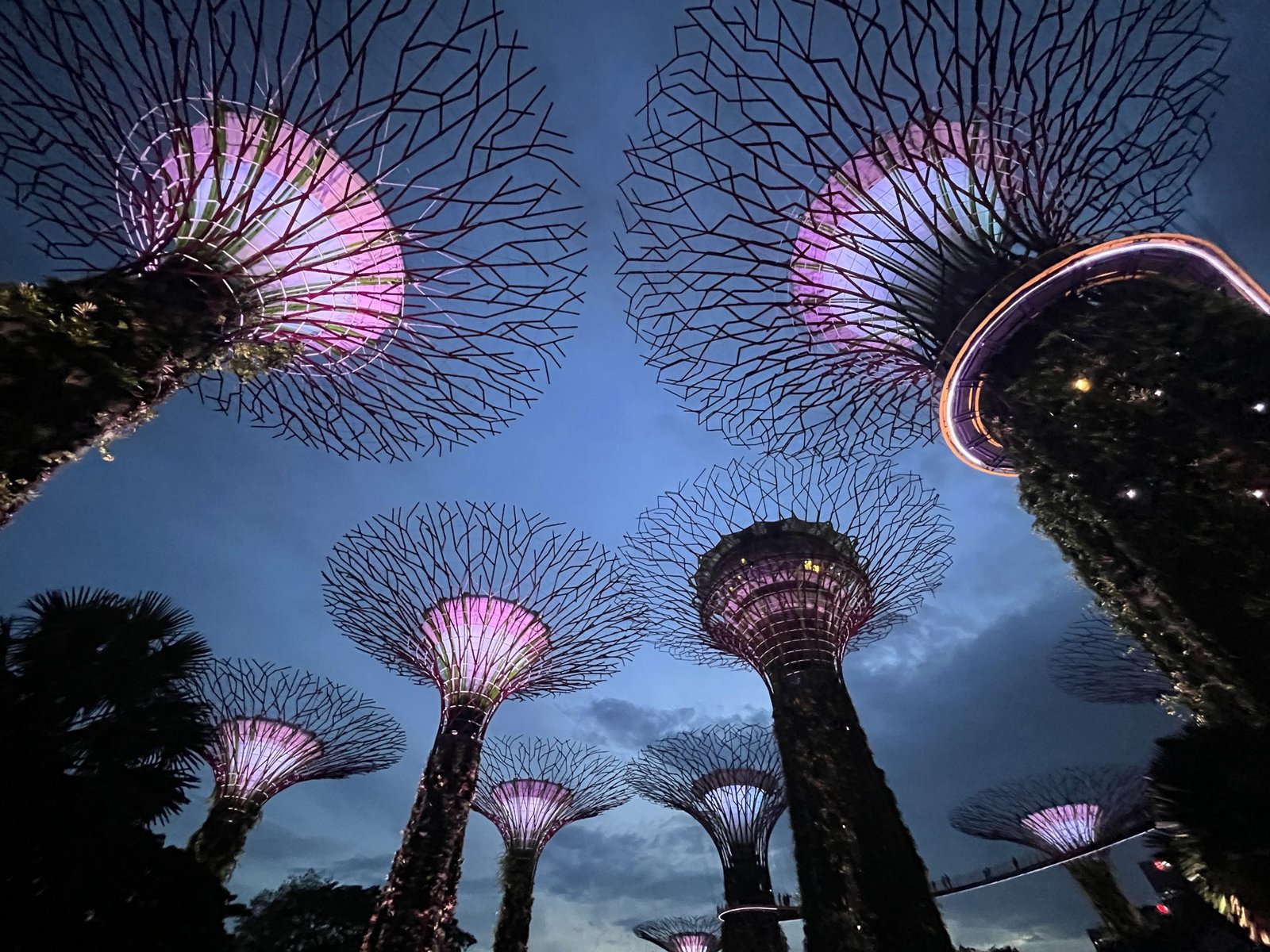 que hacer en Singapur, itinerario 2 días