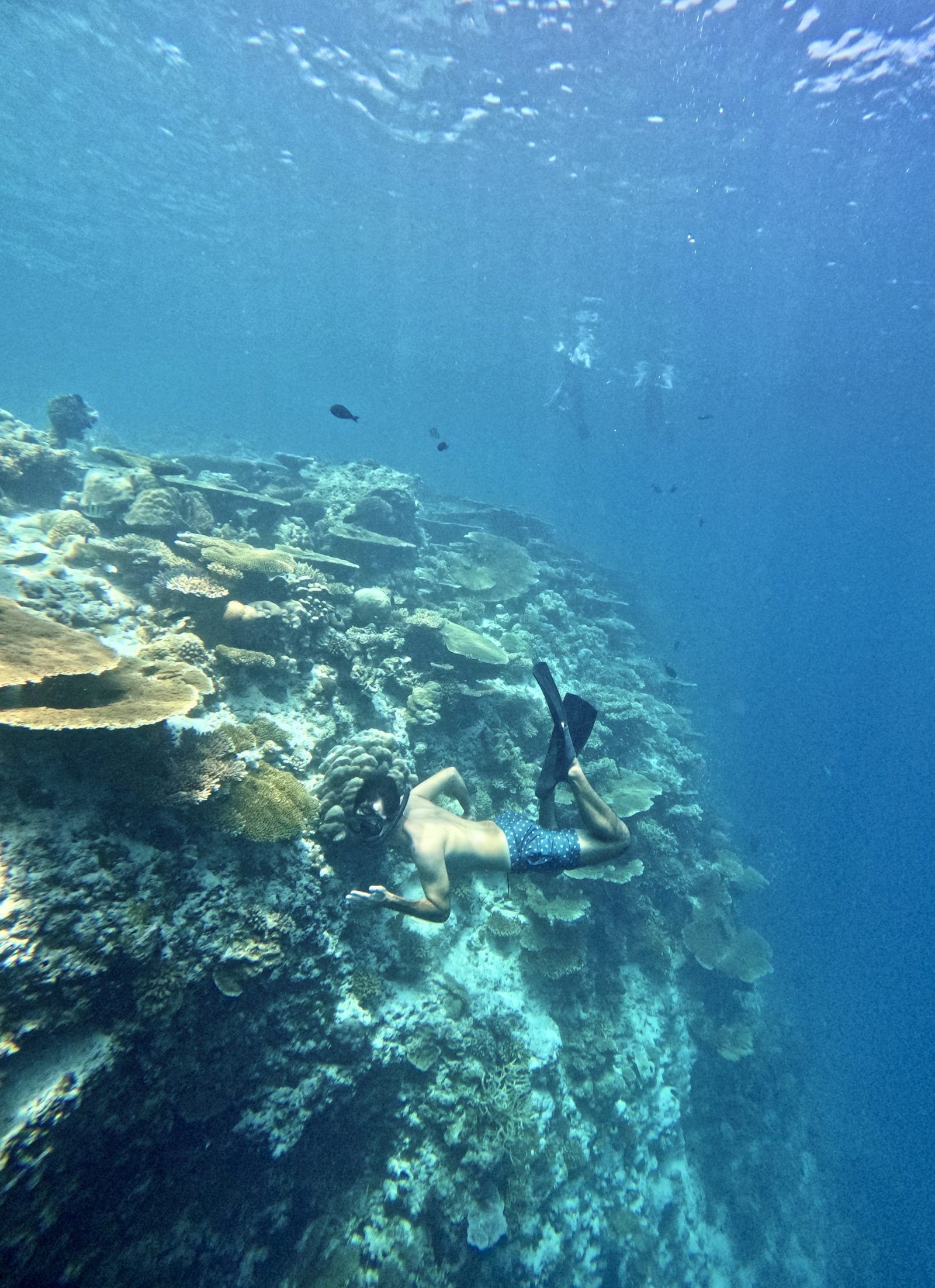 tour de snorkel desde Maafushi