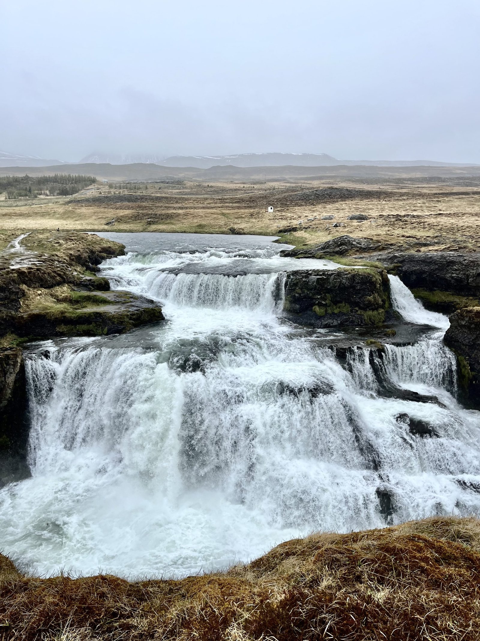 que hacer en el norte de islandia, lo mejor del norte de islandia