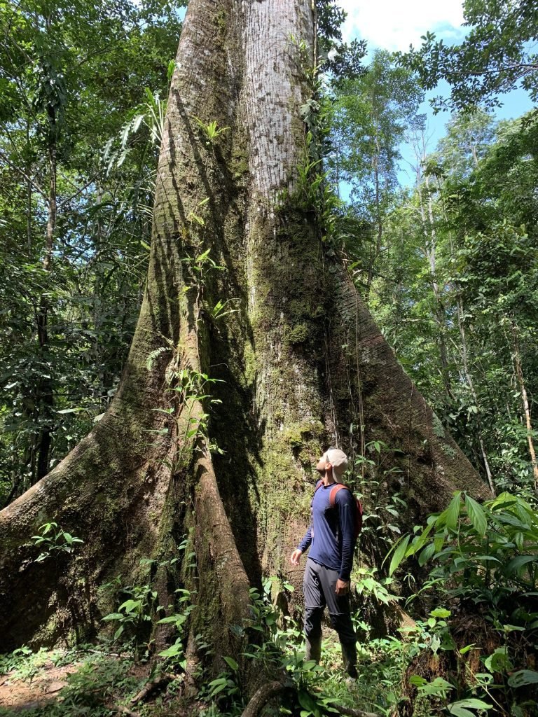 Qué hacer en Leticia, Guía para visitar el Amazonas ColombianoQué hacer en Leticia, Guía para visitar el Amazonas Colombiano