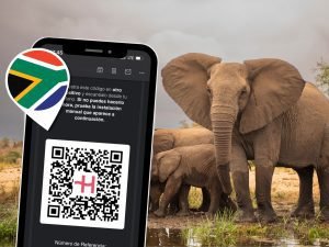 como-tener-internet-en-sudafrica