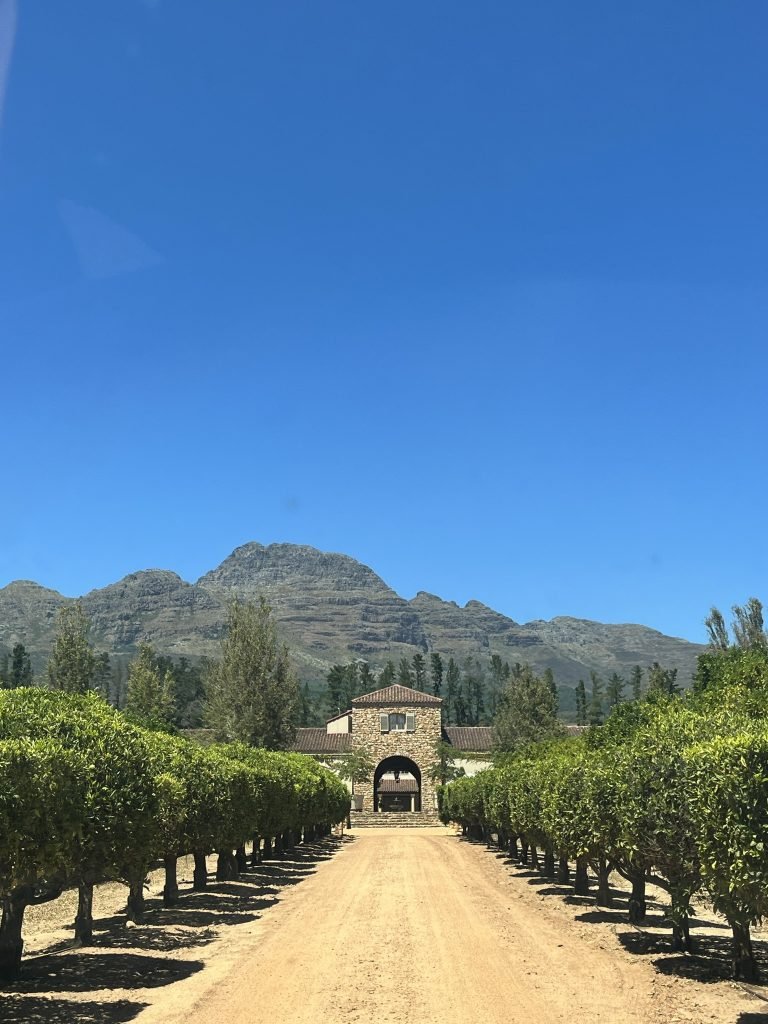 Ruta del vino en Sudáfrica