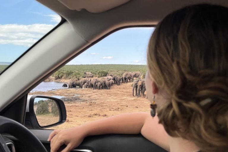 Wild Card Sudáfrica, Addo National Elephant park