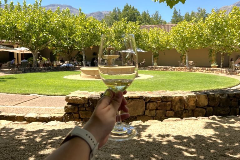 Ruta del vino en Sudáfrica