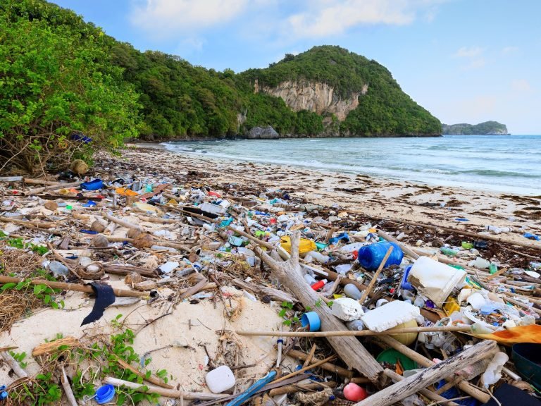 reducir-plastico-viajando