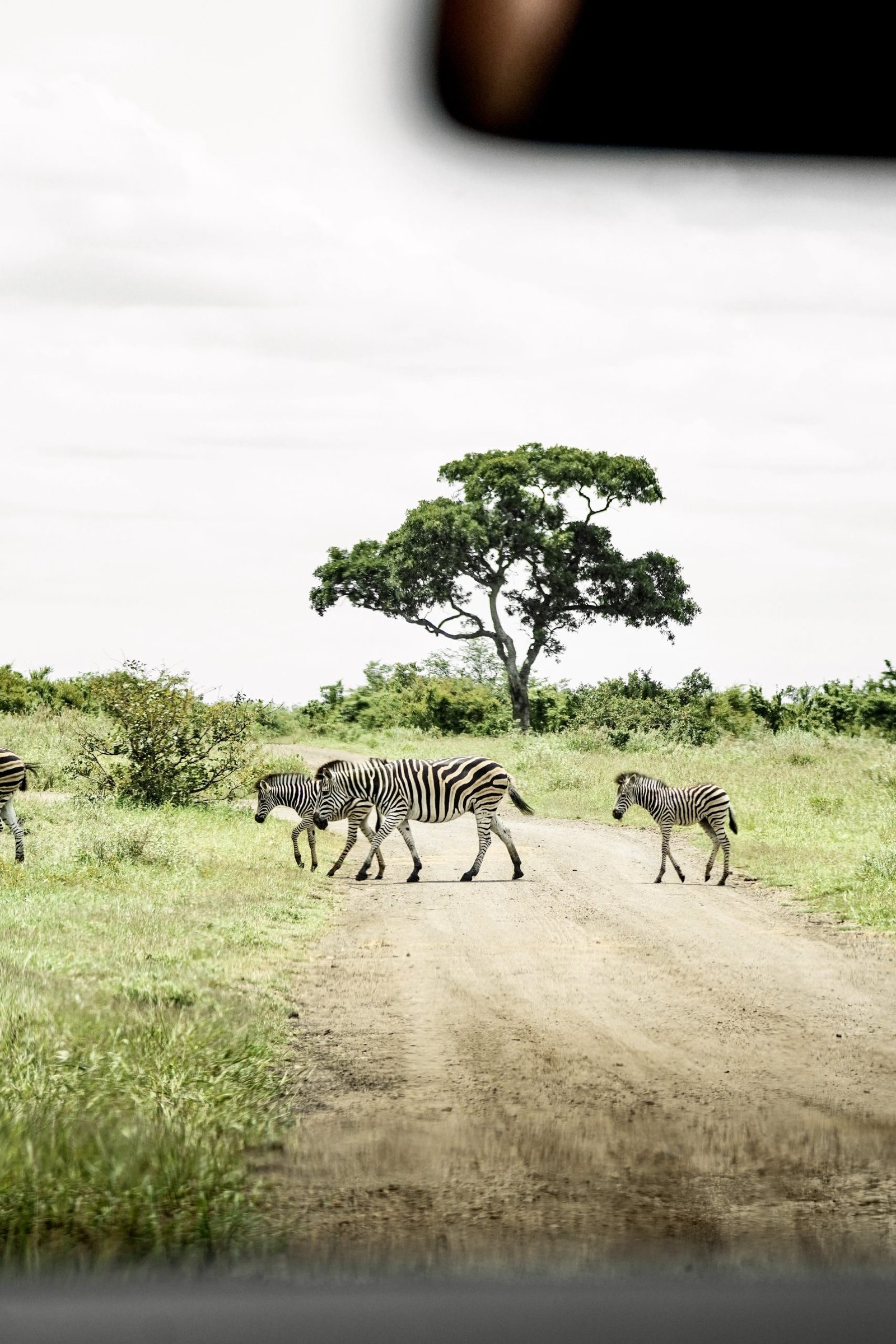 15 días en Sudáfrica