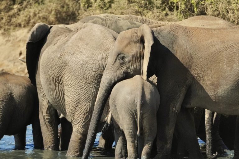 ruta por Sudáfrica en 15 días