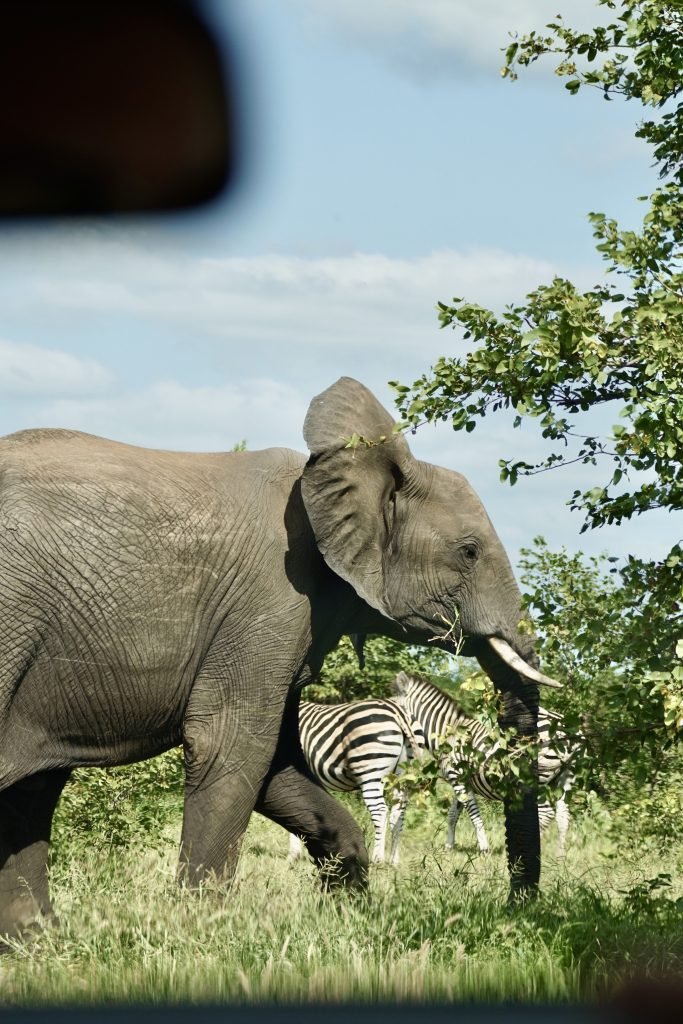 Ruta por Sudáfrica en 15 días