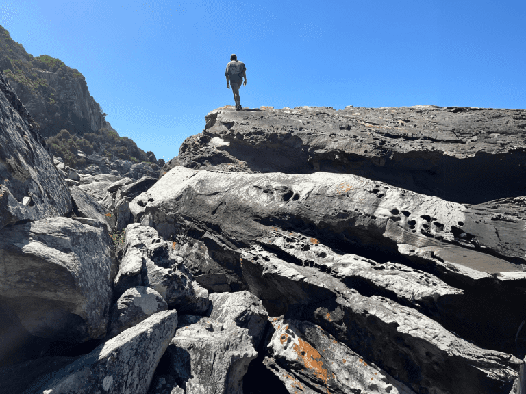 Tsitsikamma-ruta-jardin-sudafrica