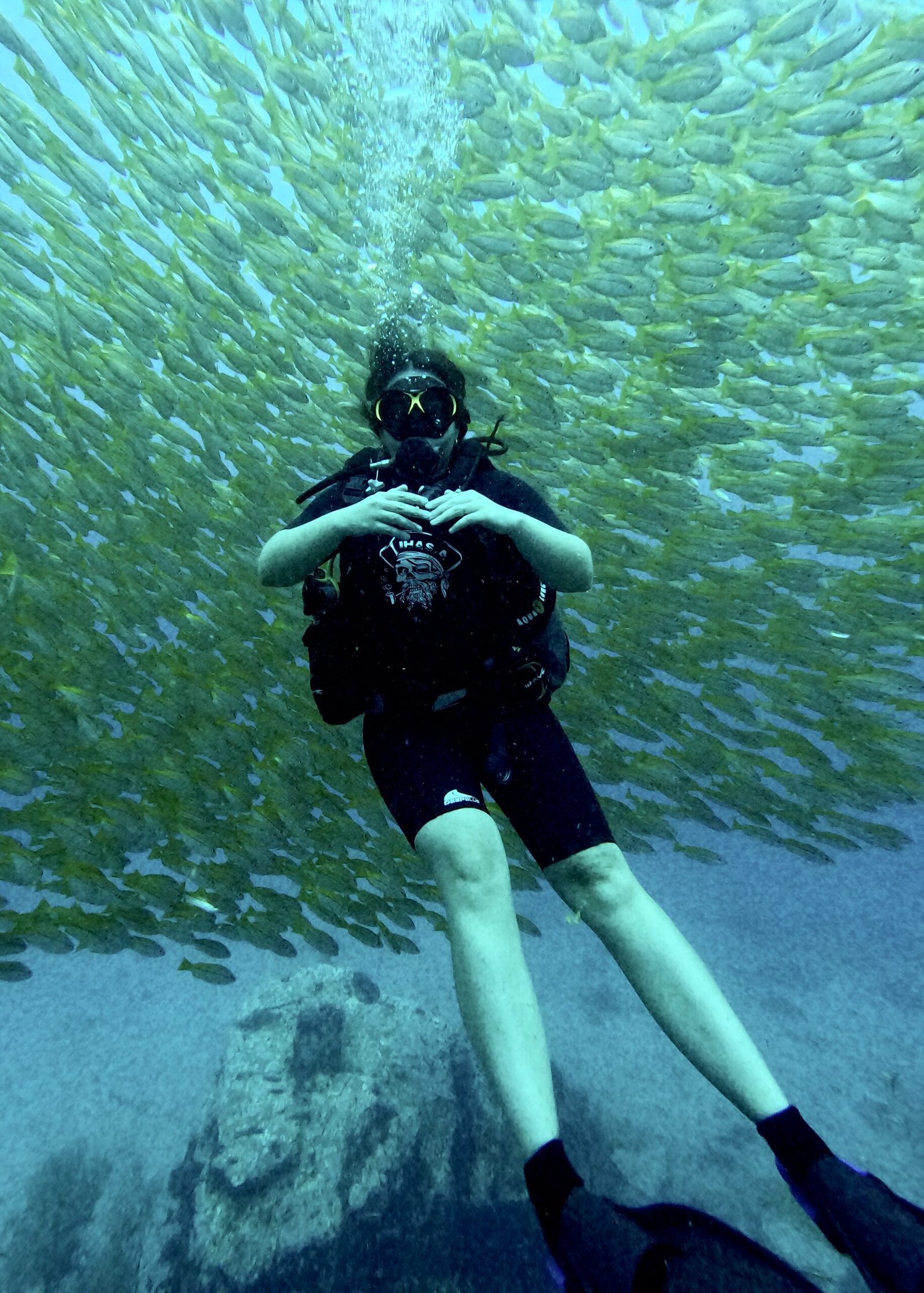 koh tao, lugares mas baratos para bucear