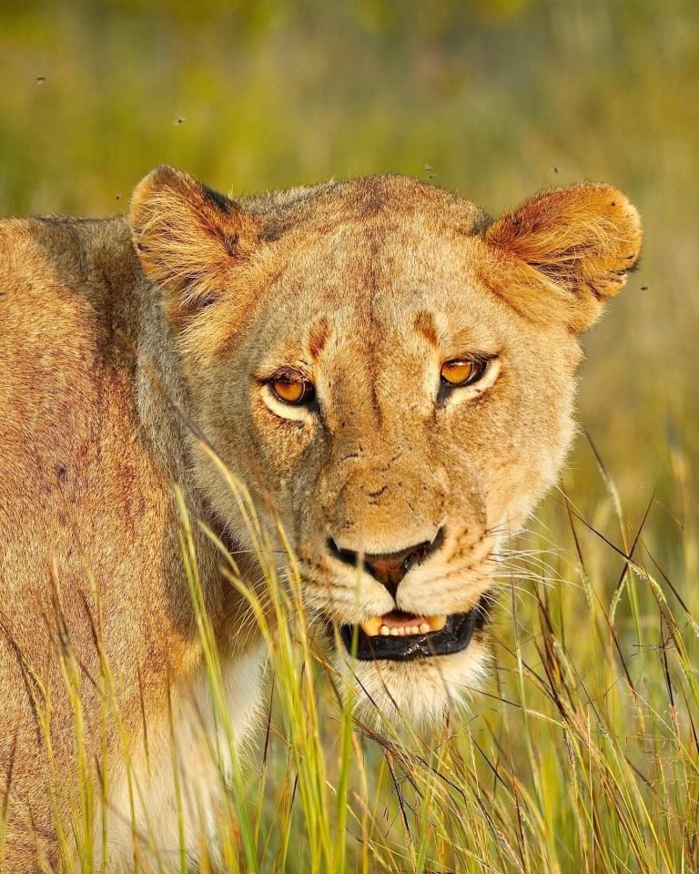 mejores-lugares-sudafrica