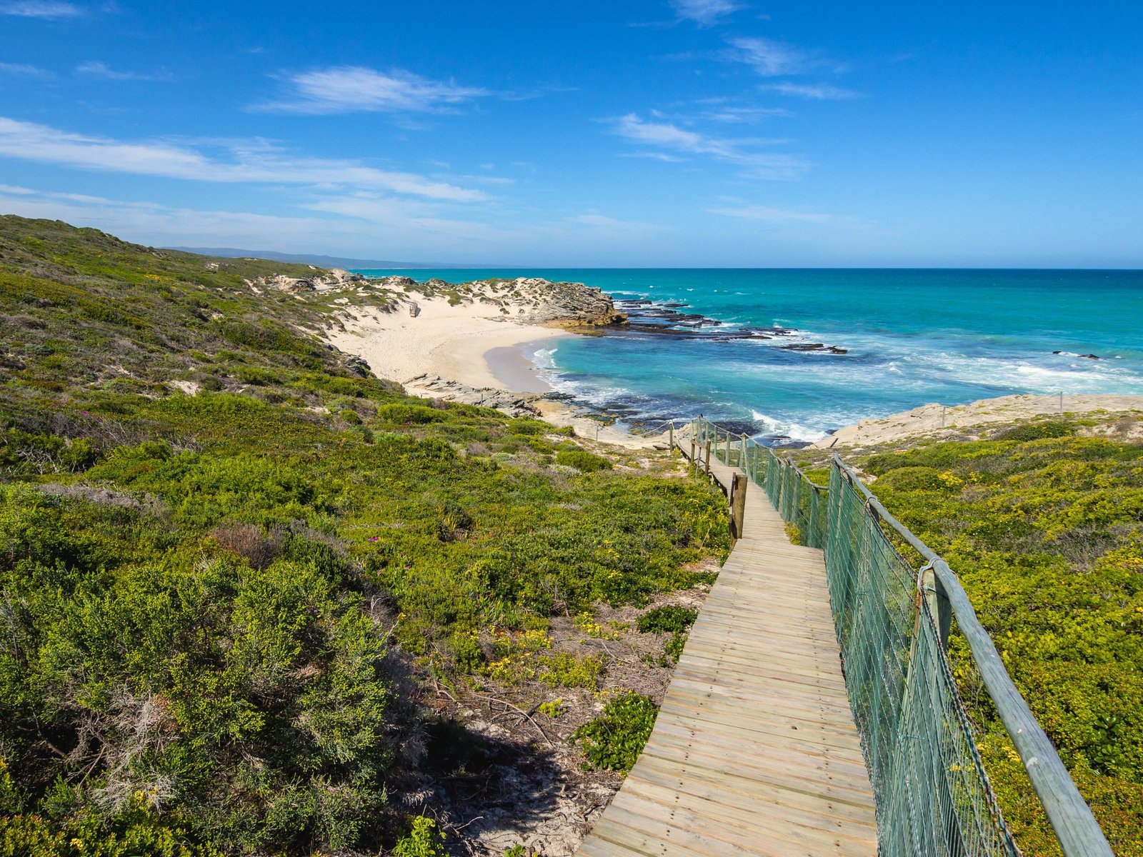 What to do in Tsitsikamma 🌳🌿 Hanging bridges and other routes