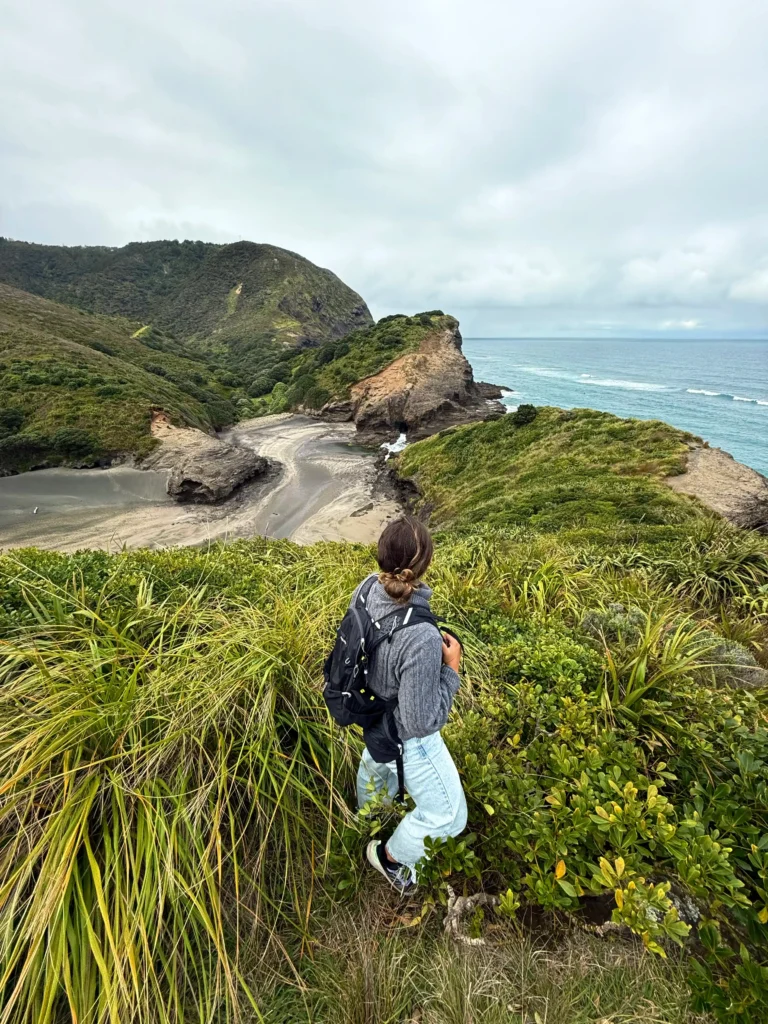 alrededores Auckland Piha beach