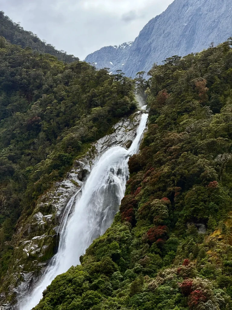 Que ver en la carretera del Milford