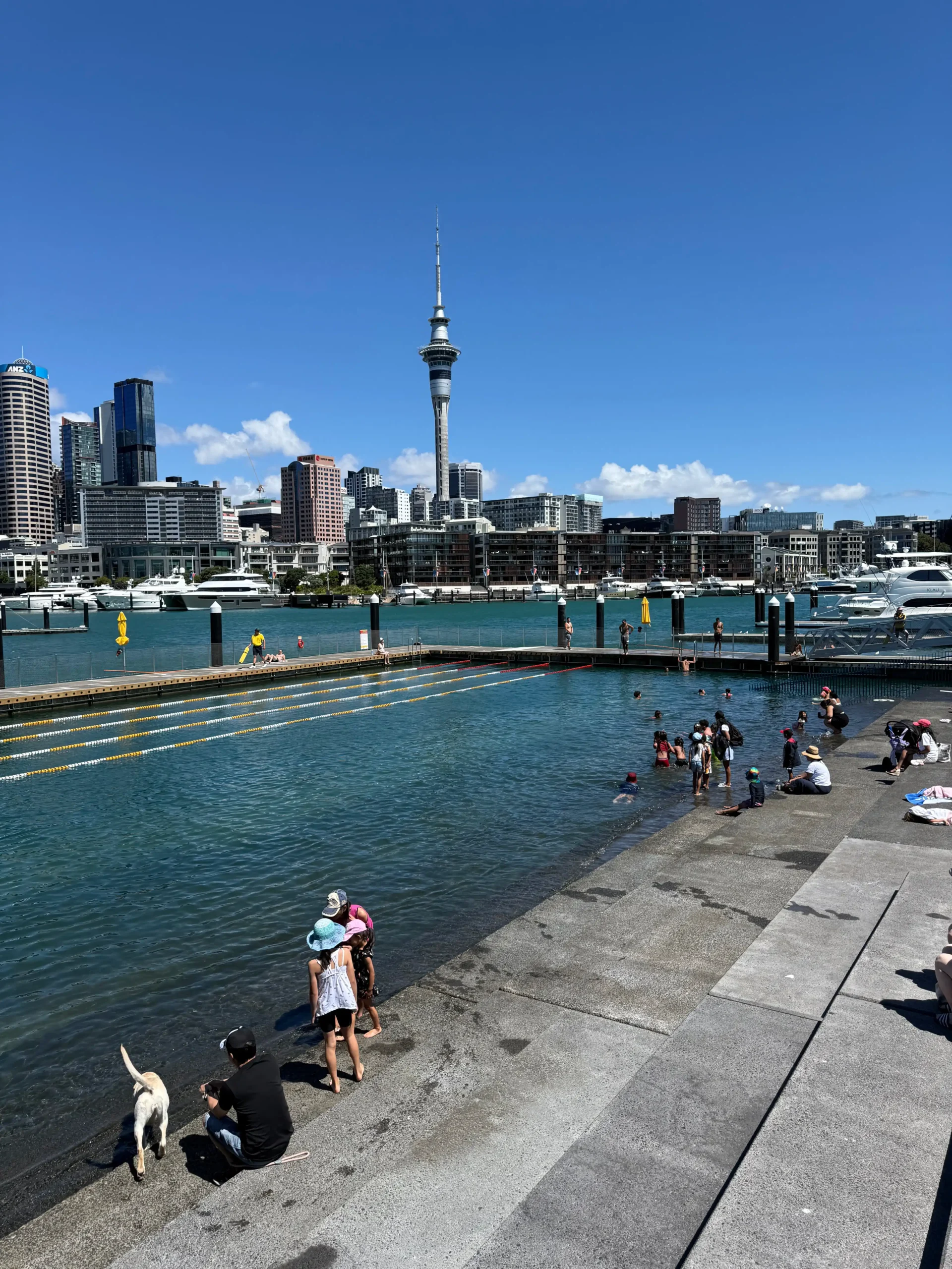 Puerto de Auckland en 1 dia