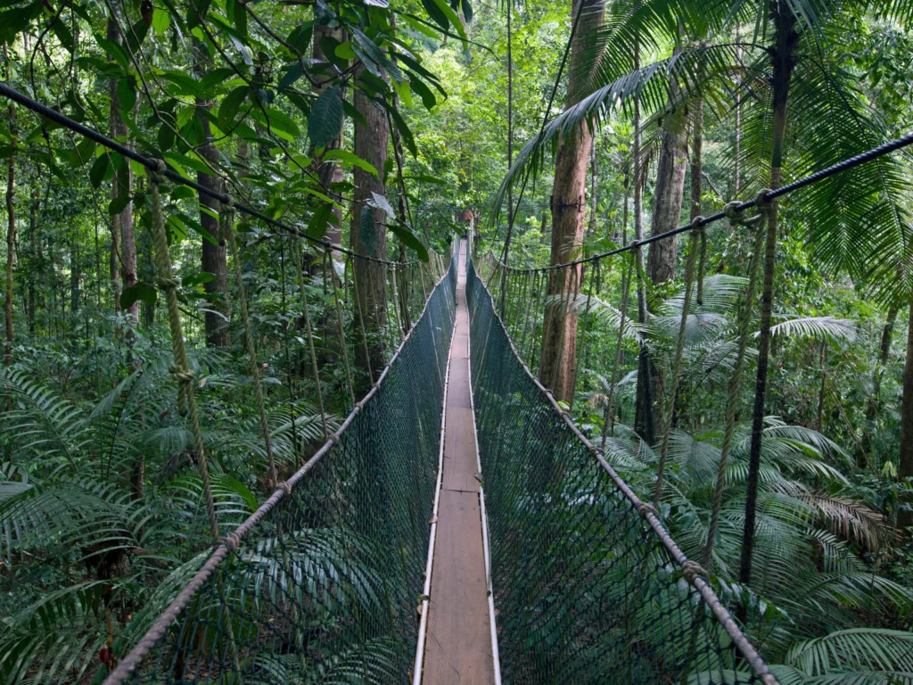 ruta Malasia en 15 días