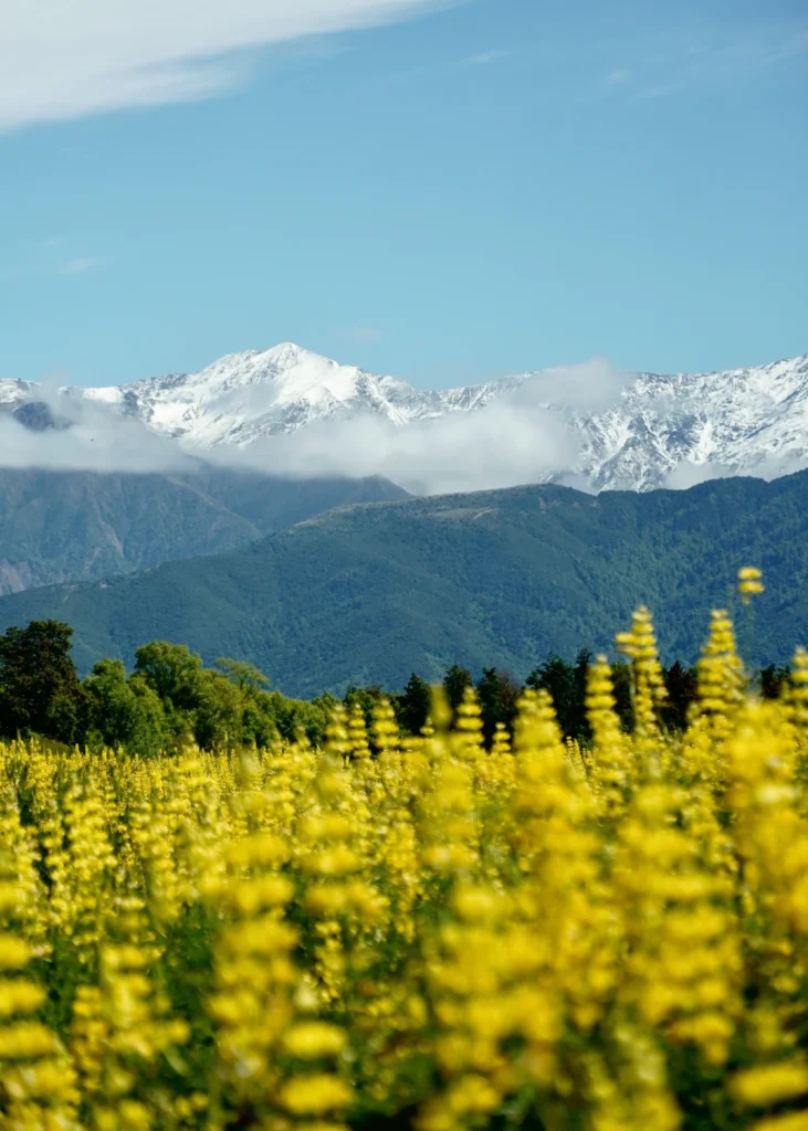 Kaikoura Mountain Range