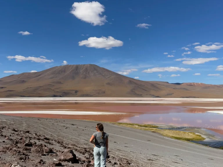 código descuento Assist 365