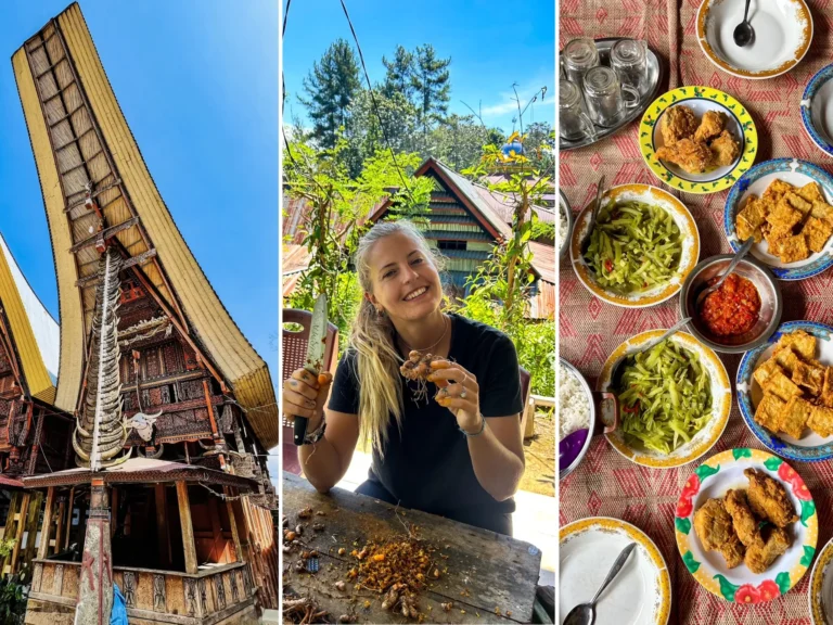 experiencia voluntariado worldpackers