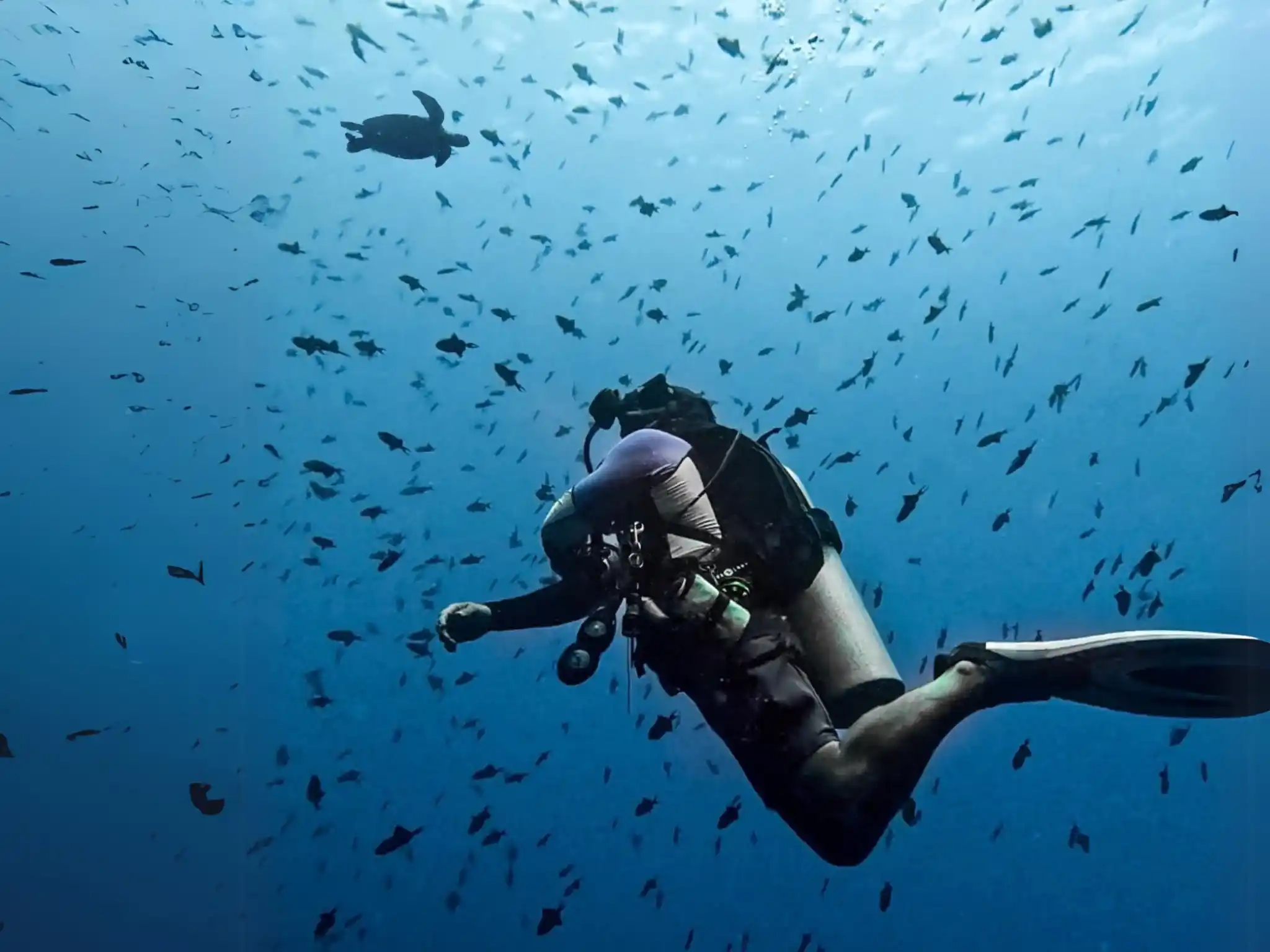 Bunaken, Sulawesi