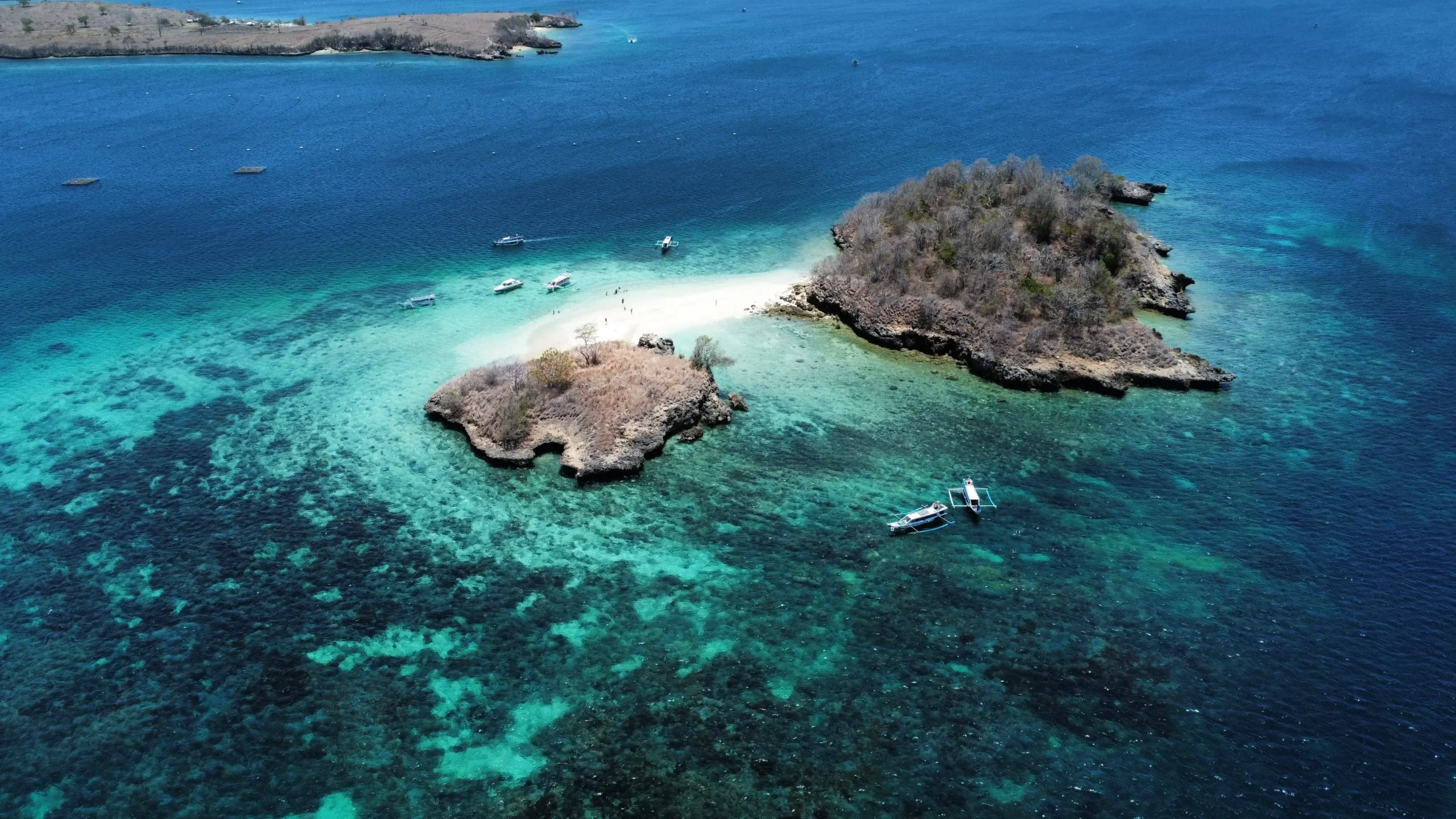 pink-beach-snorkel-lo,bok Que hacer en Kuta lombok y alrededores