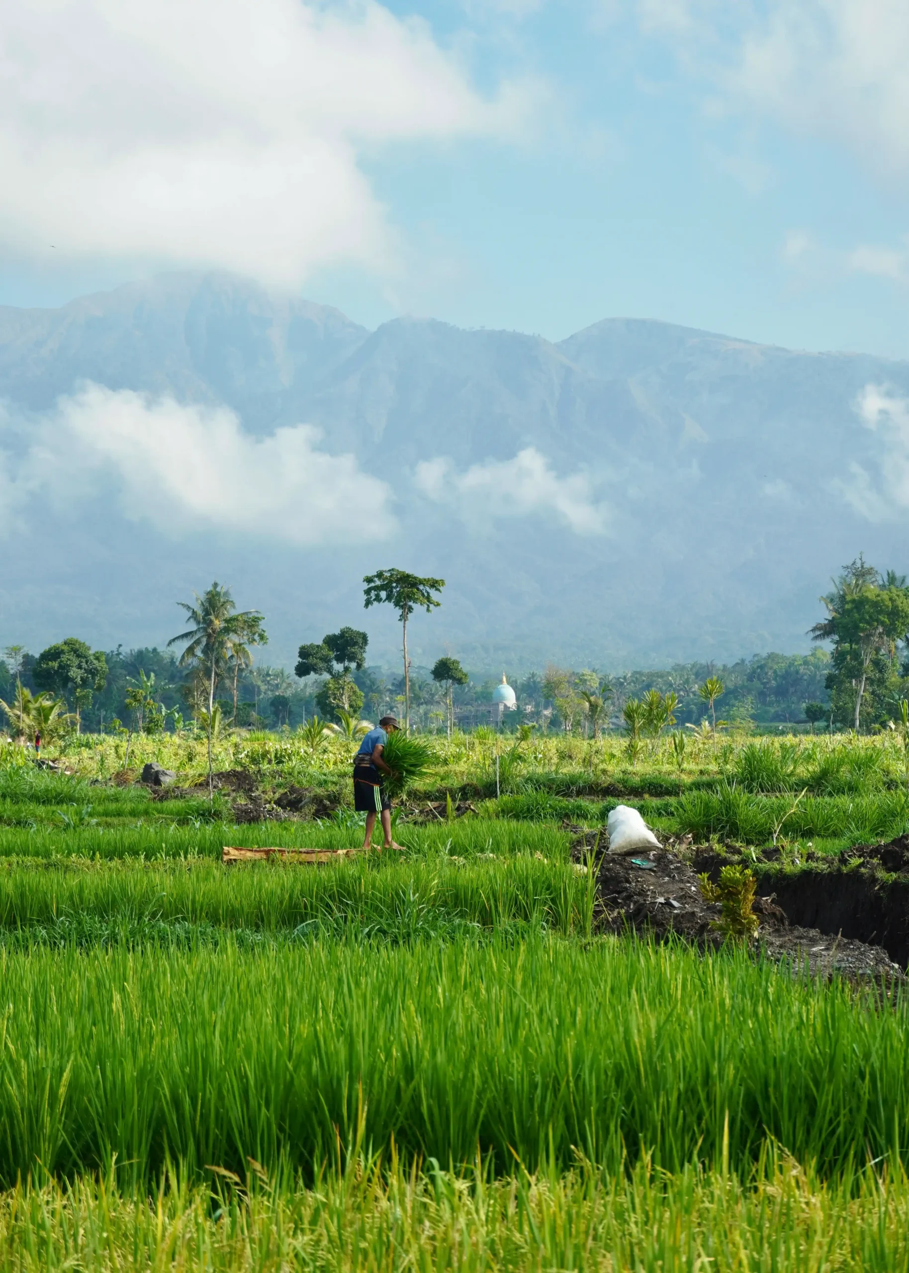 que-hacer-lombk-tetebatu que ver en Lombok