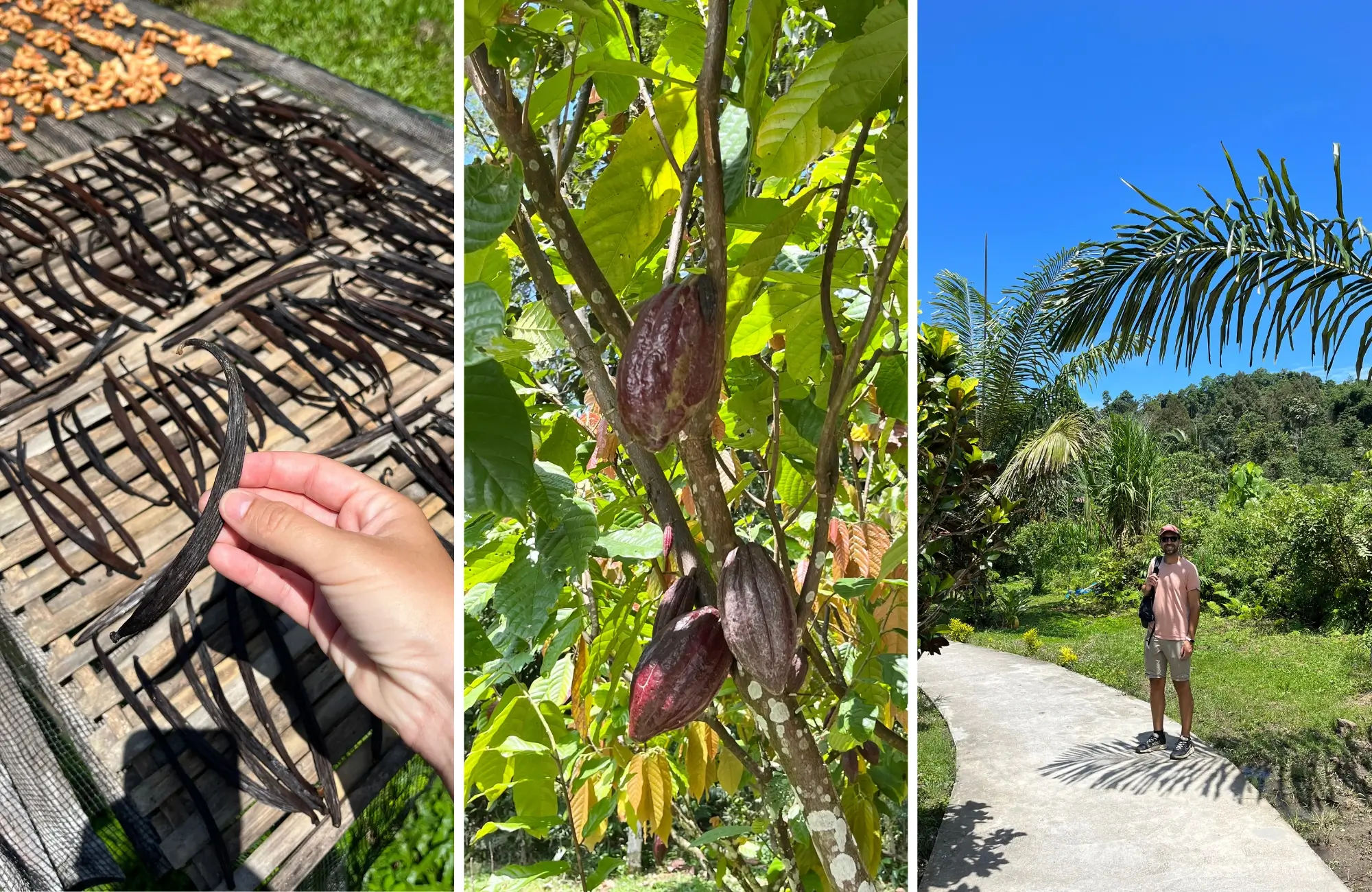 tentena-sulawesi Que hacer en Tentena, Sulawesi