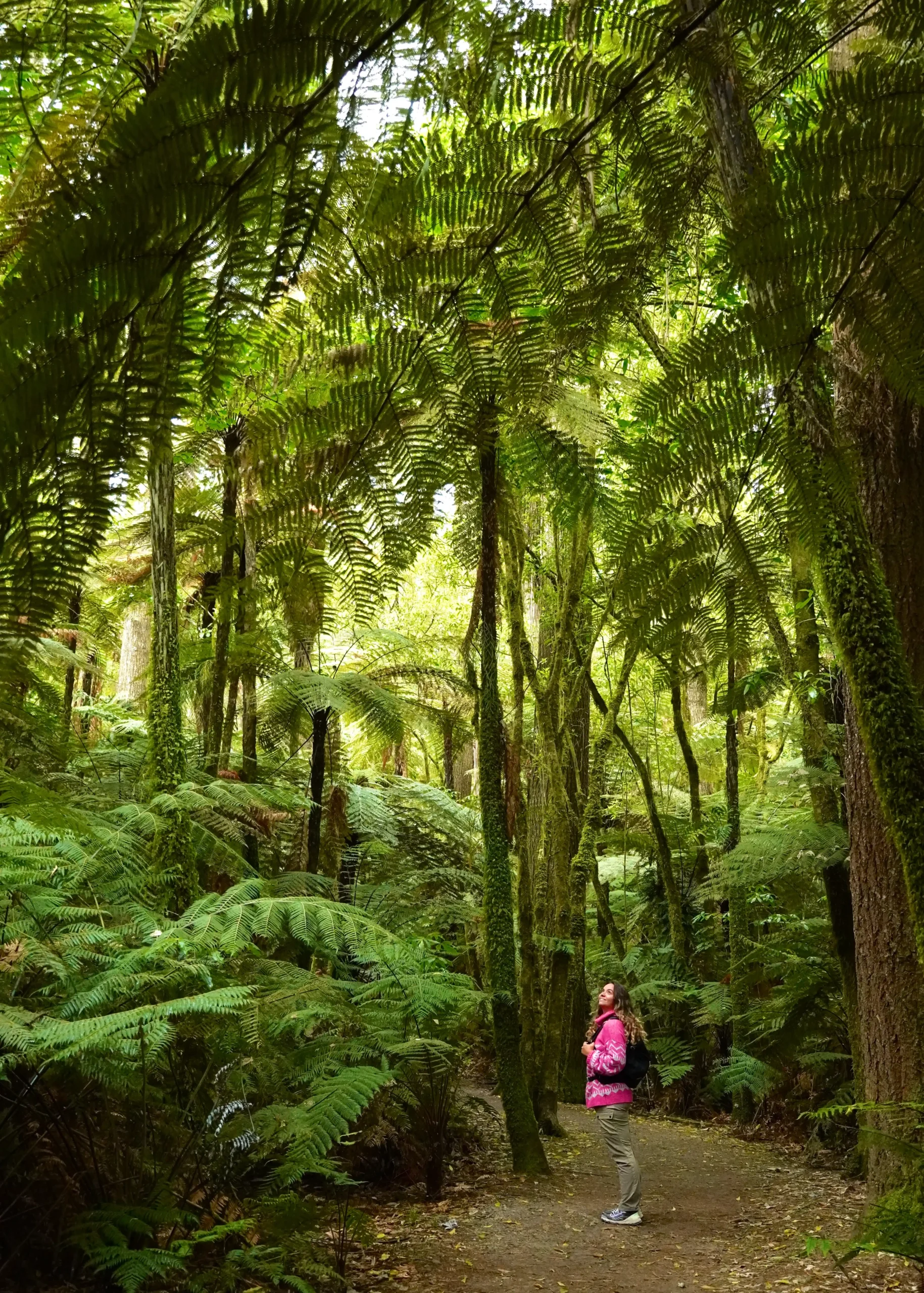 Que hacer en Rotorua, Nueva Zelanda