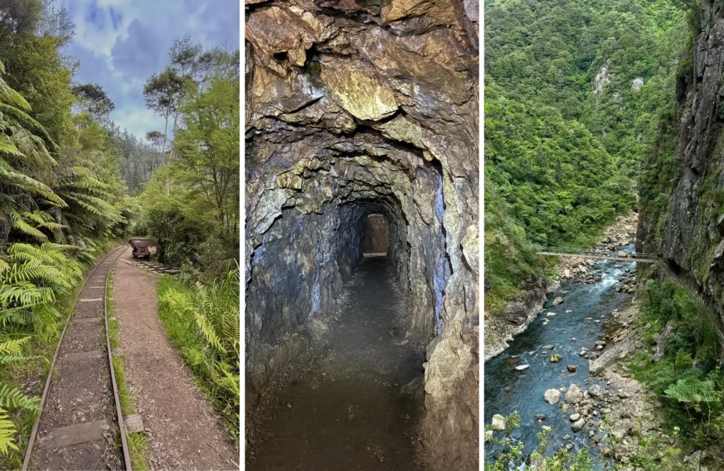 Que ver y hacer en la Peninsula de Coromandel