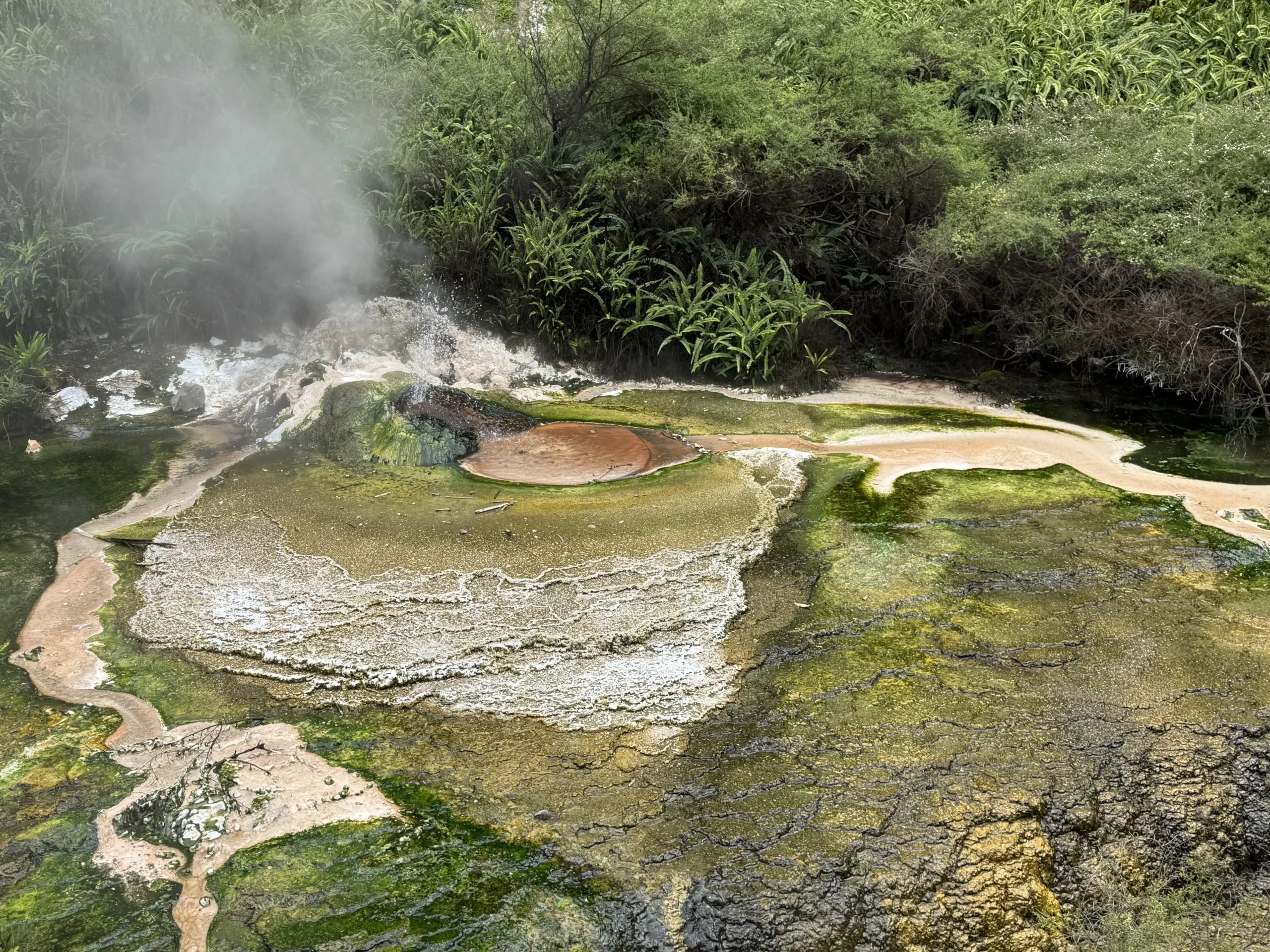 Que hacer en Rotorua, Nueva Zelanda
