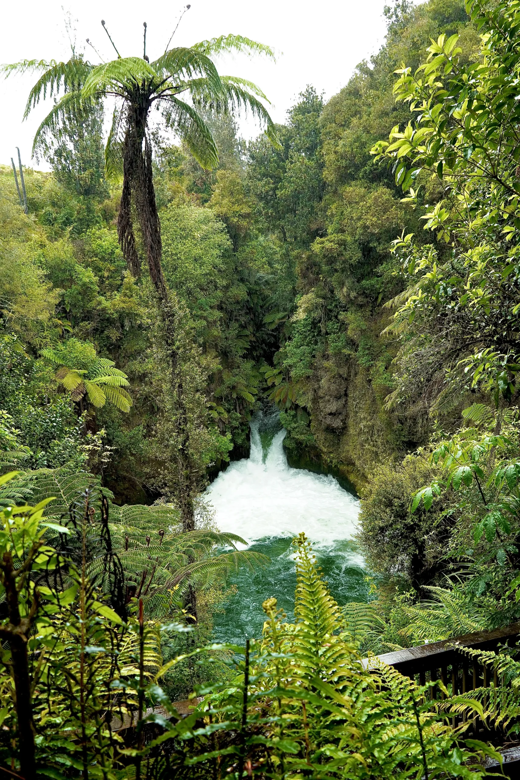 Que hacer en Rotorua, Nueva Zelanda