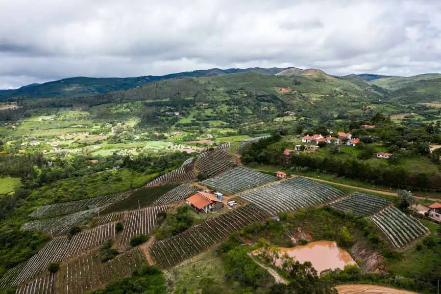 bodegas-samaipata que hacer en Samaipata, Bolivia