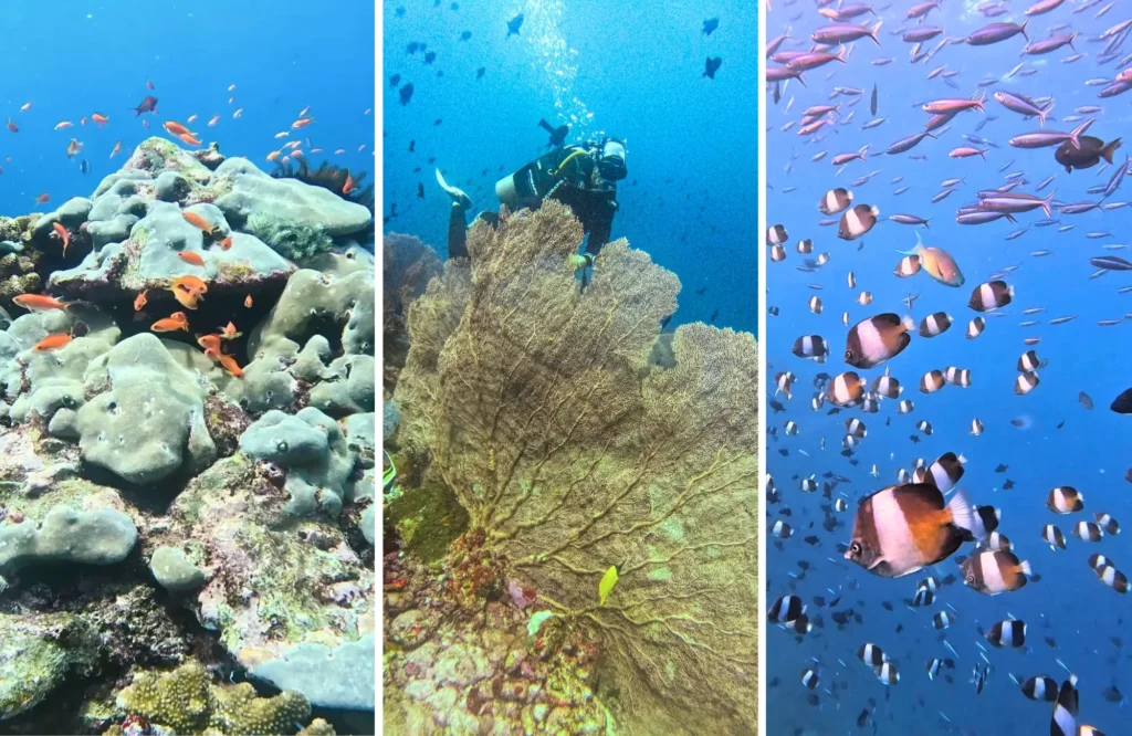 buceo-pulau-weh Iboh Beach, Pulau Weh
