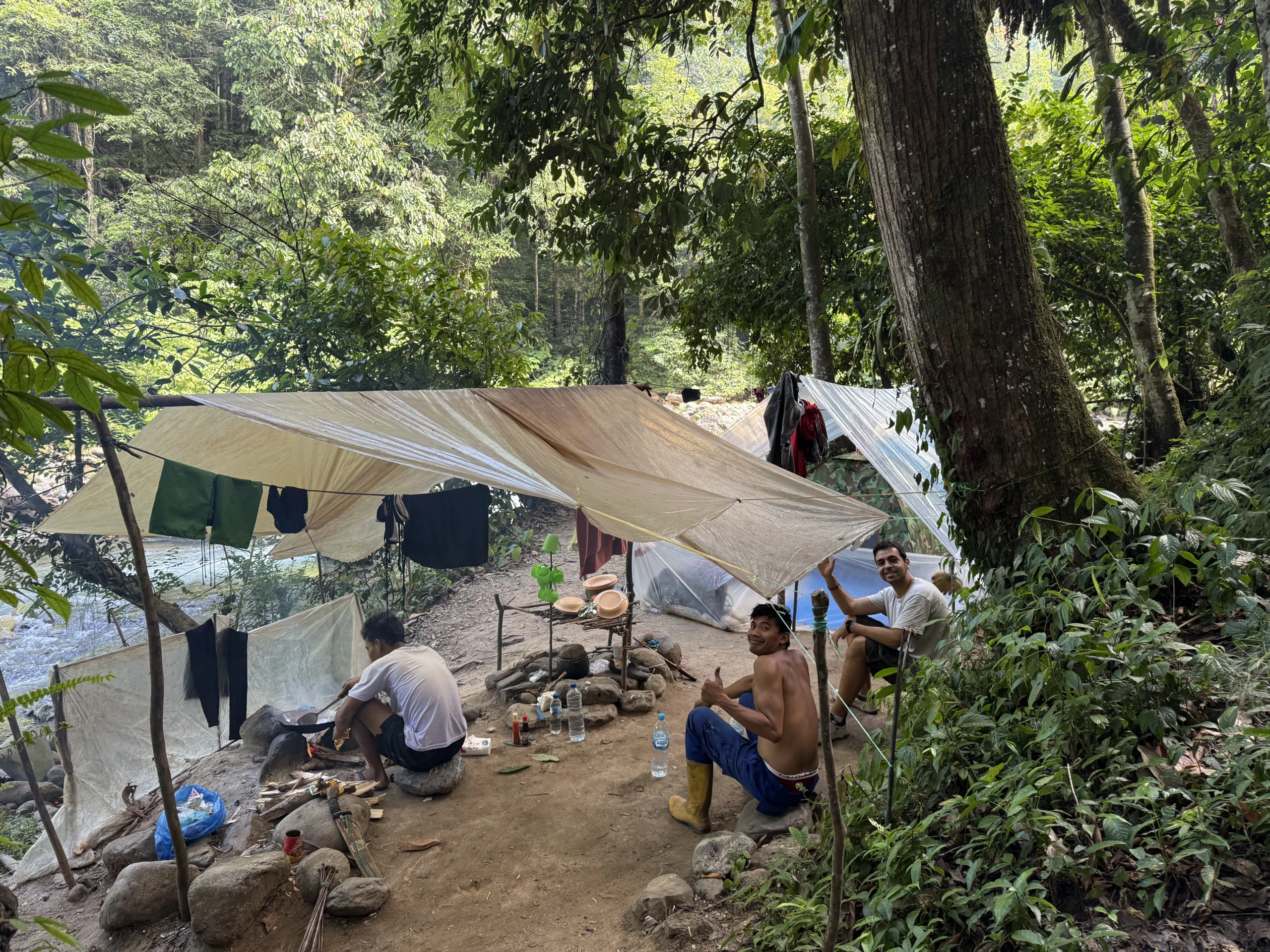 campamento-ketambe-selva Sumatra en 15 días