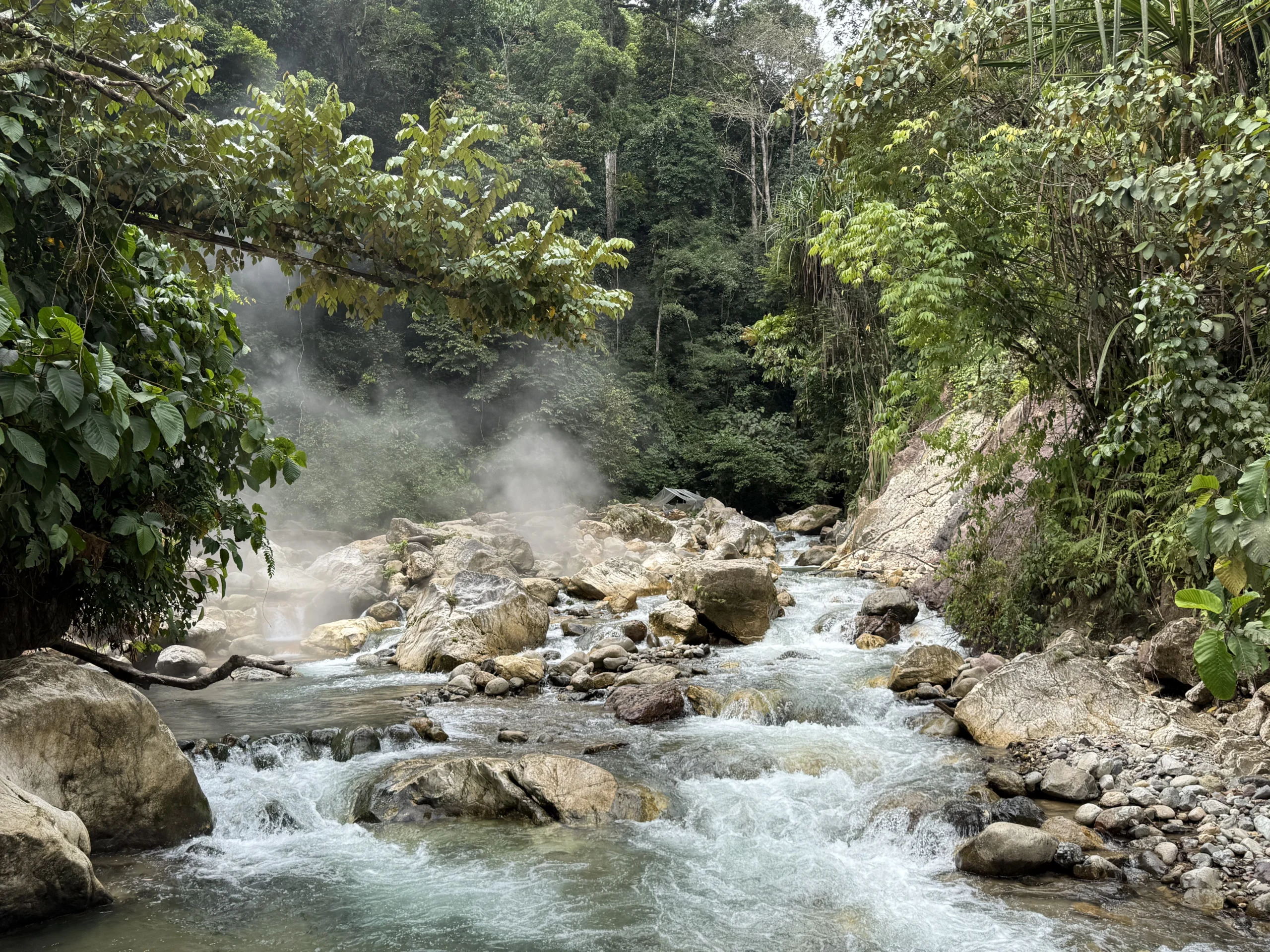 hot-springs-ketambe Ketambe, Sumatra en 15 días