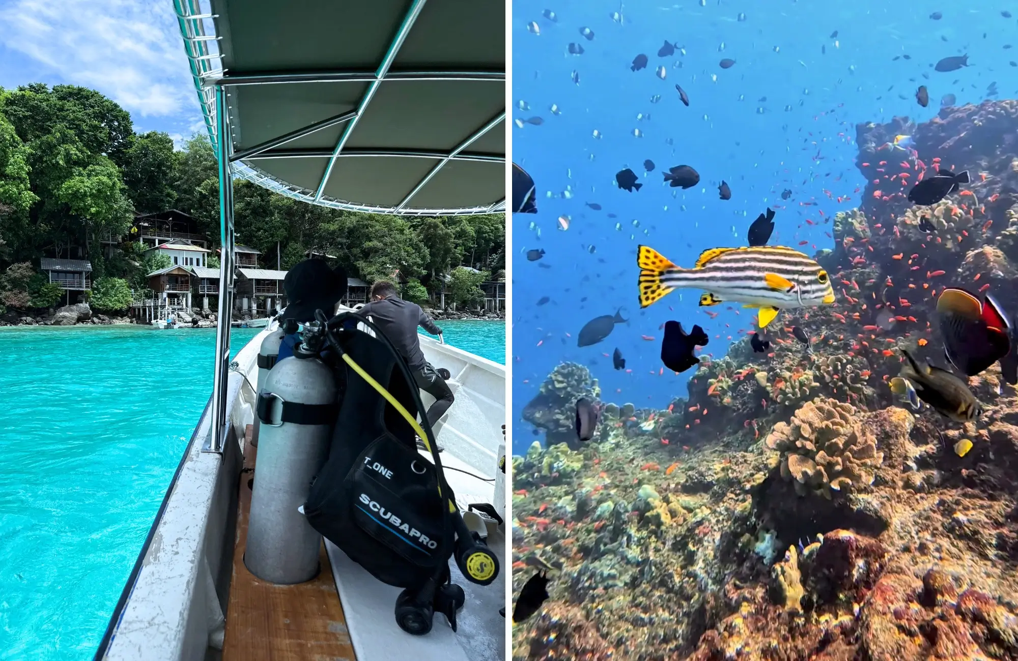iboh-beach-weh bucear en Pulau Weh