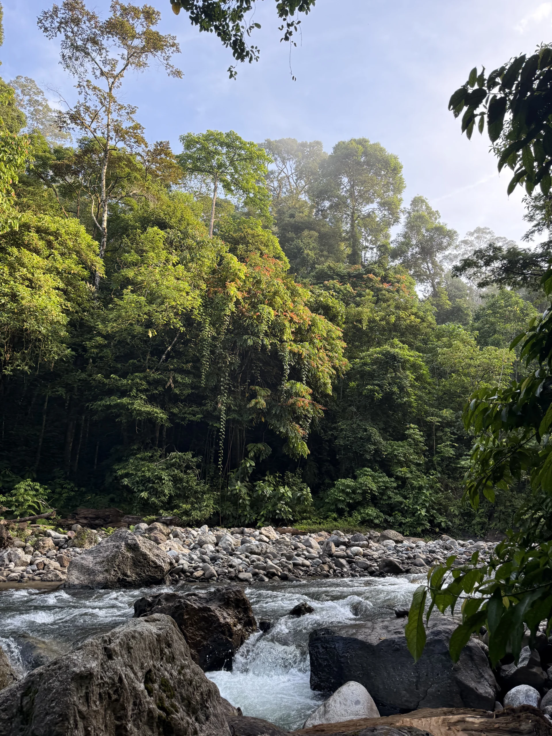 campamento ketambe -Trekking con orangutanes en sumatra