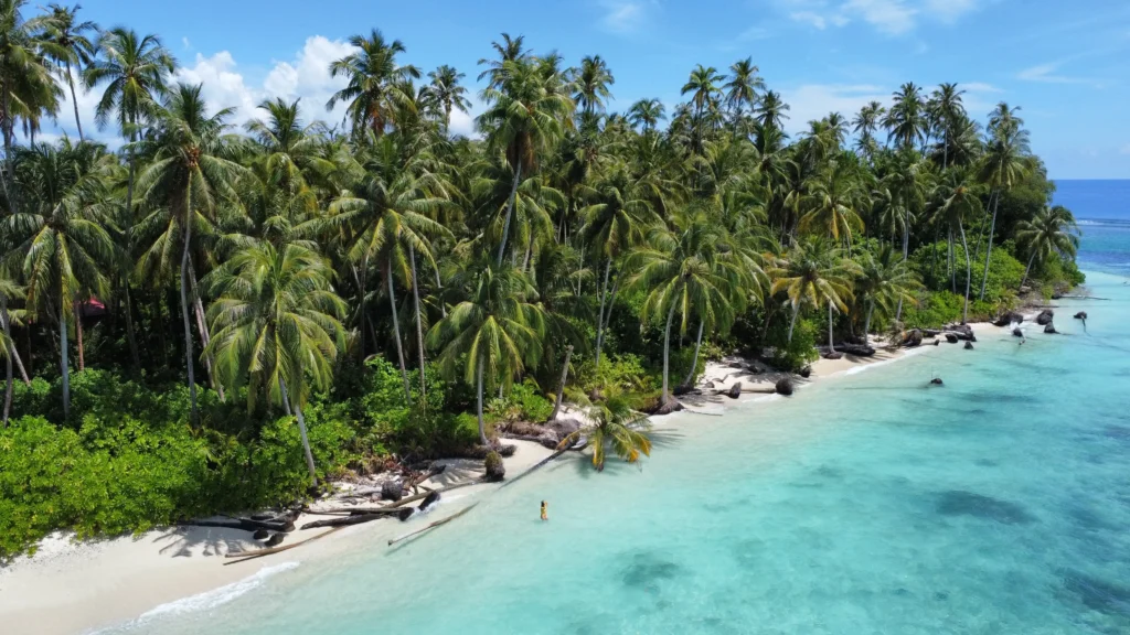 Pulau Banyak, Tailana