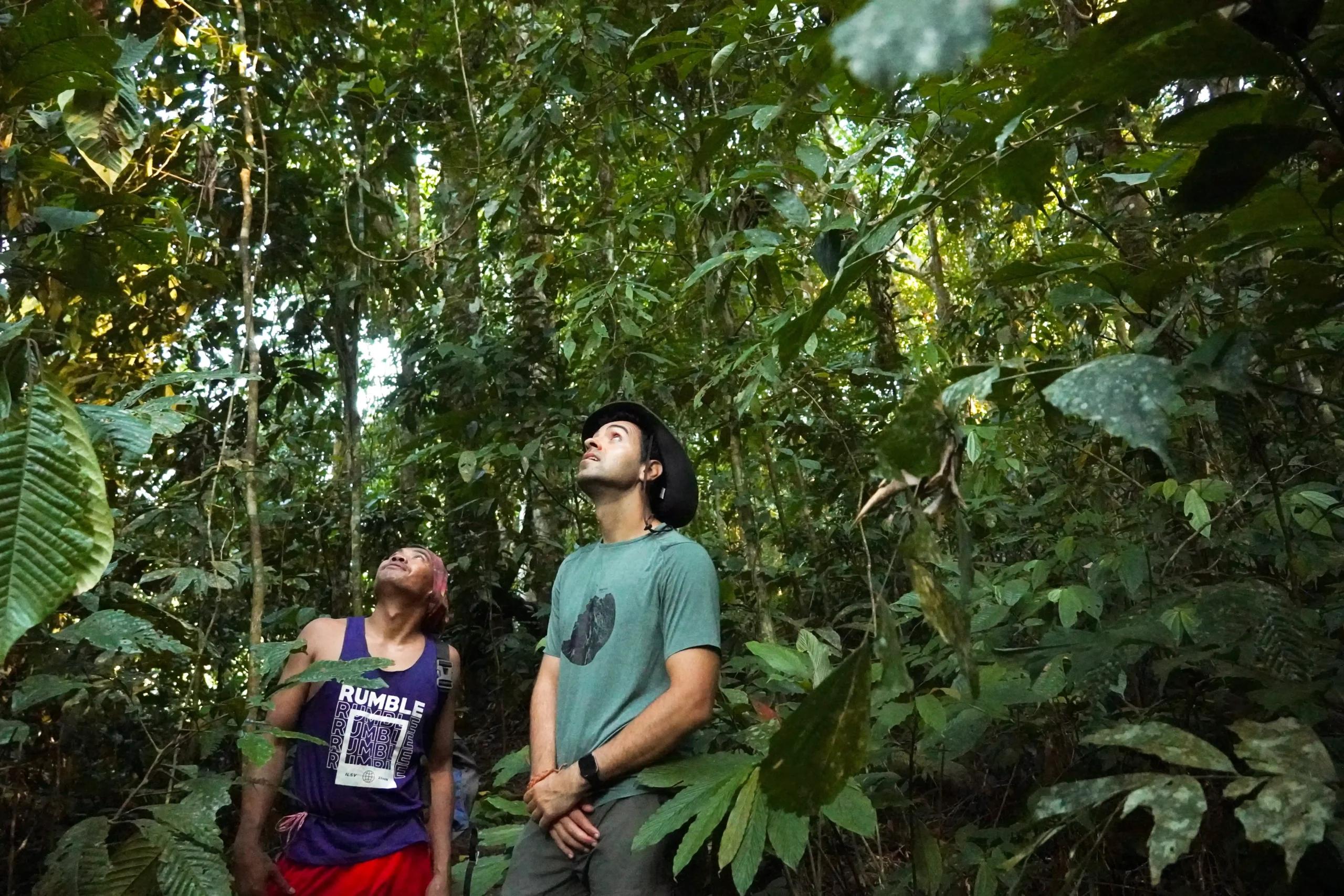 ver-orangutanes-sumatra trekking con orangutanes Sumatra