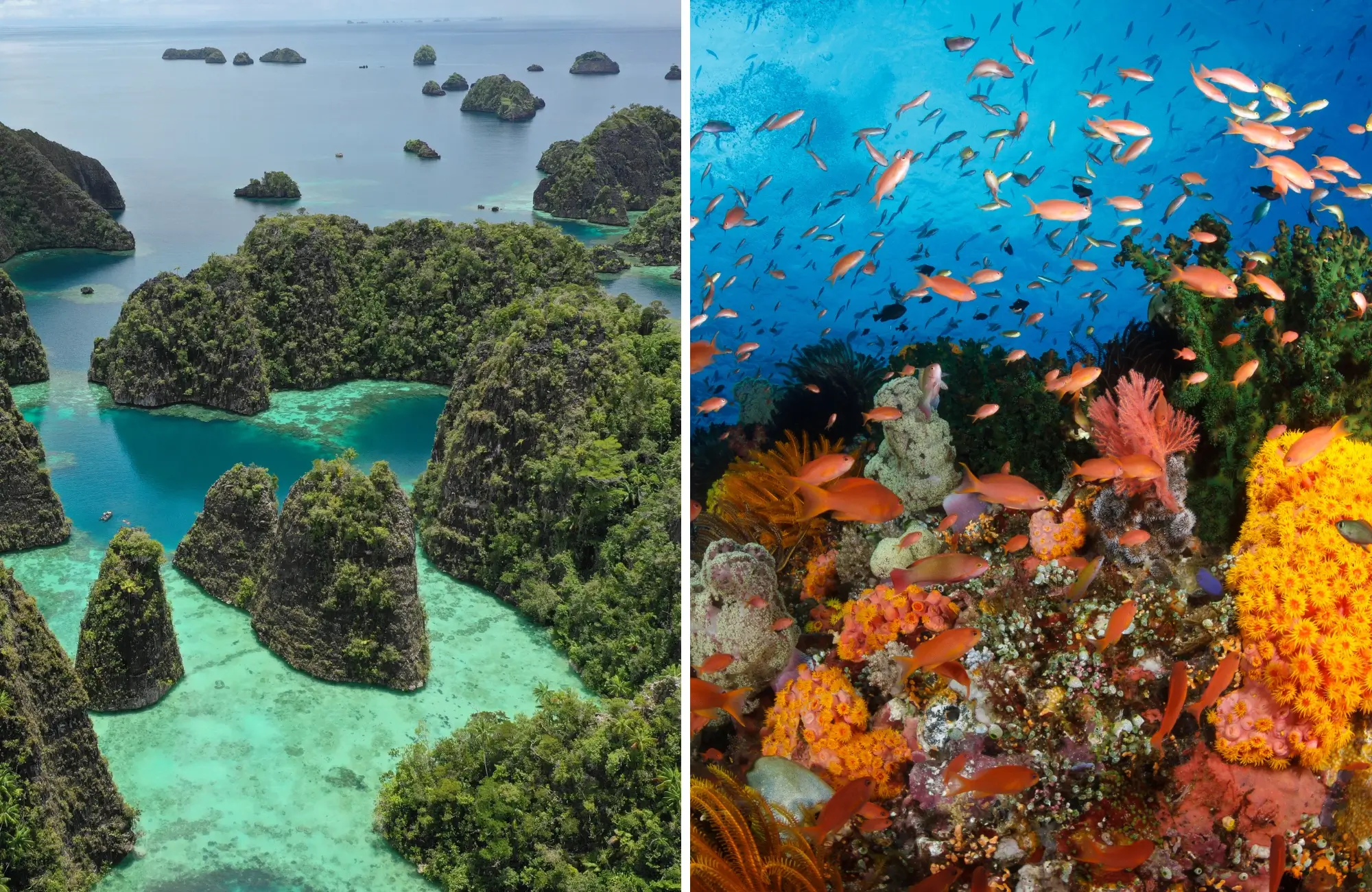 mejores islas indonesia