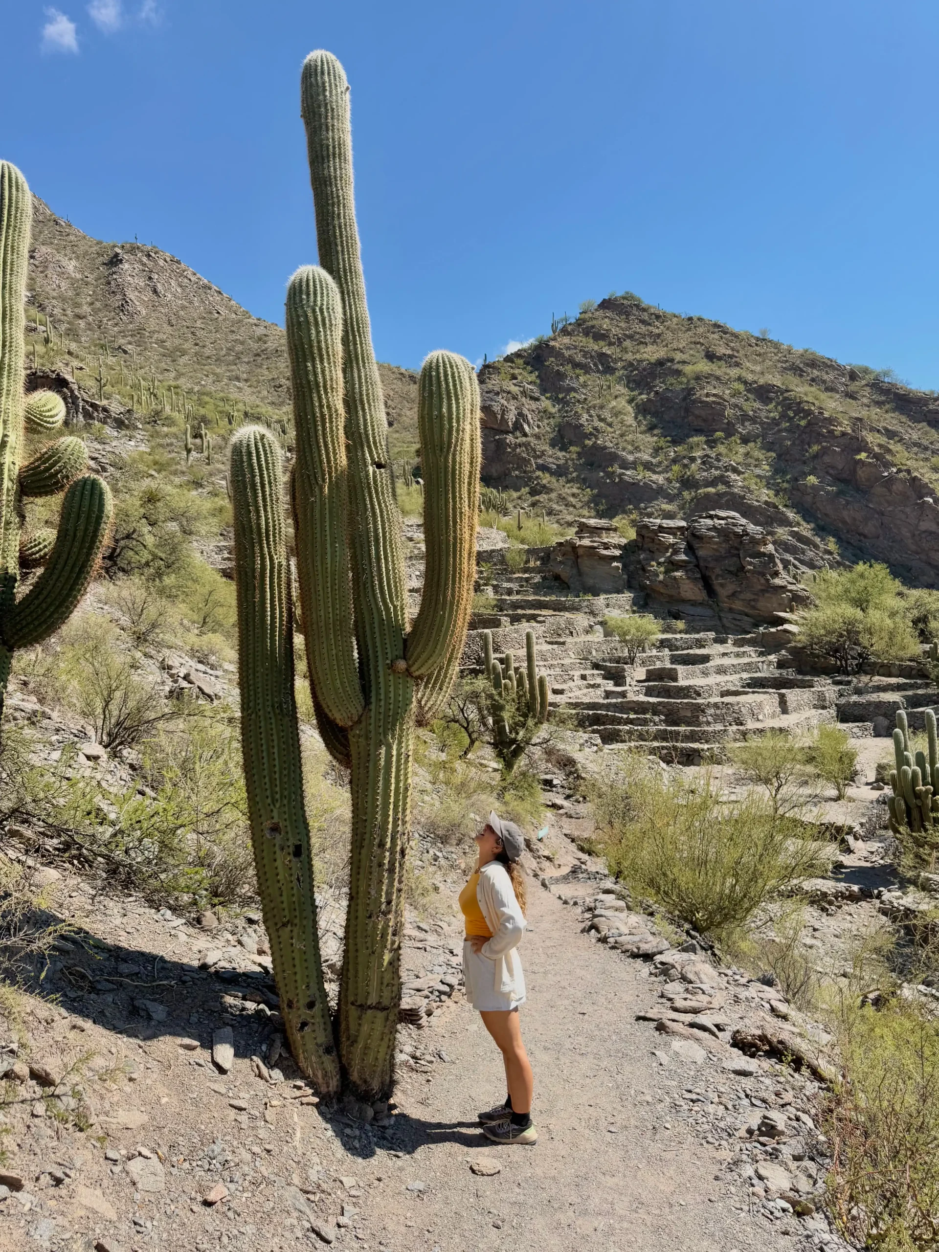 Que hacer en el Cafayate, Noroeste Argentino