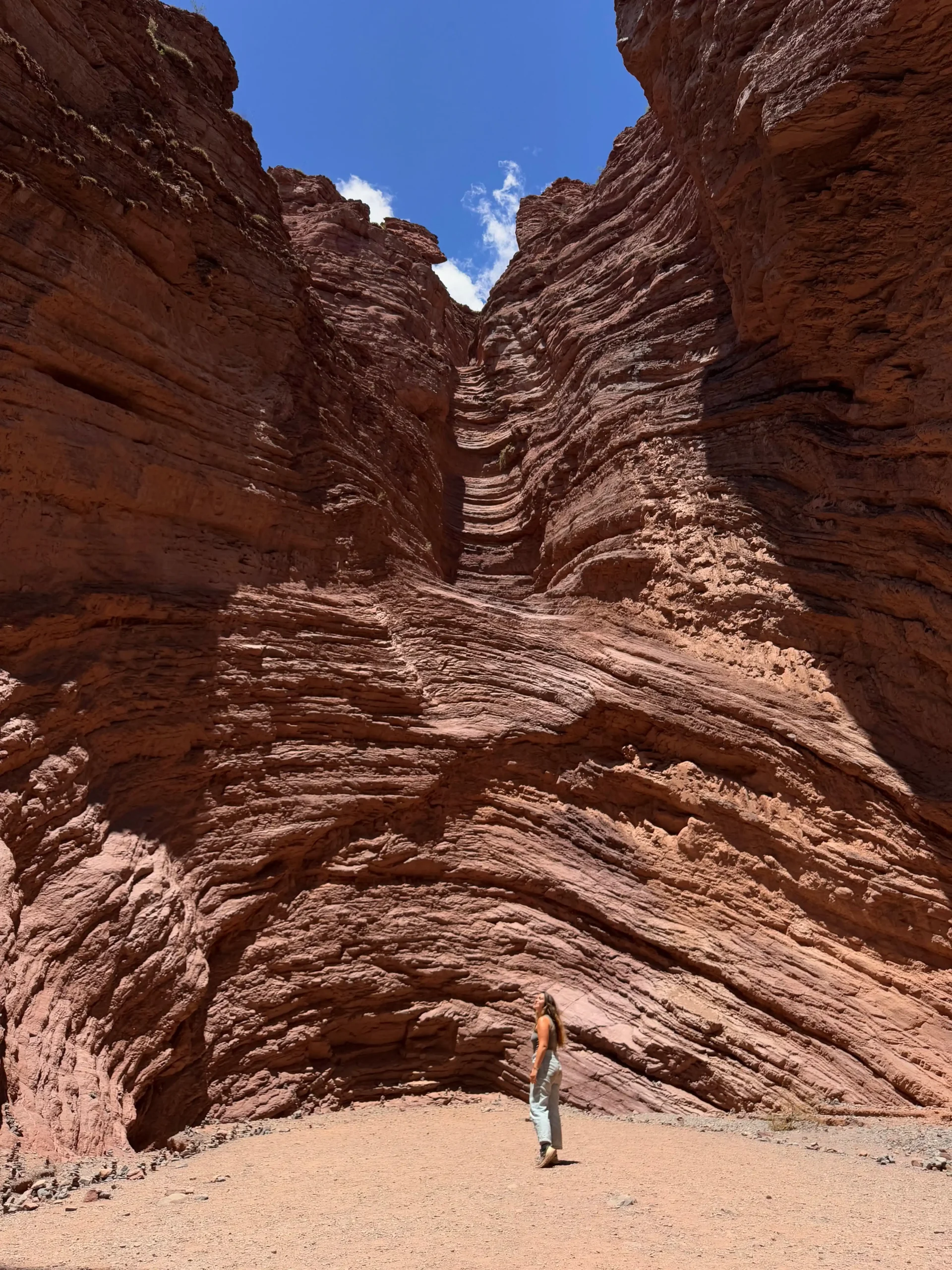 quebrada de las conchas noroeste argentino