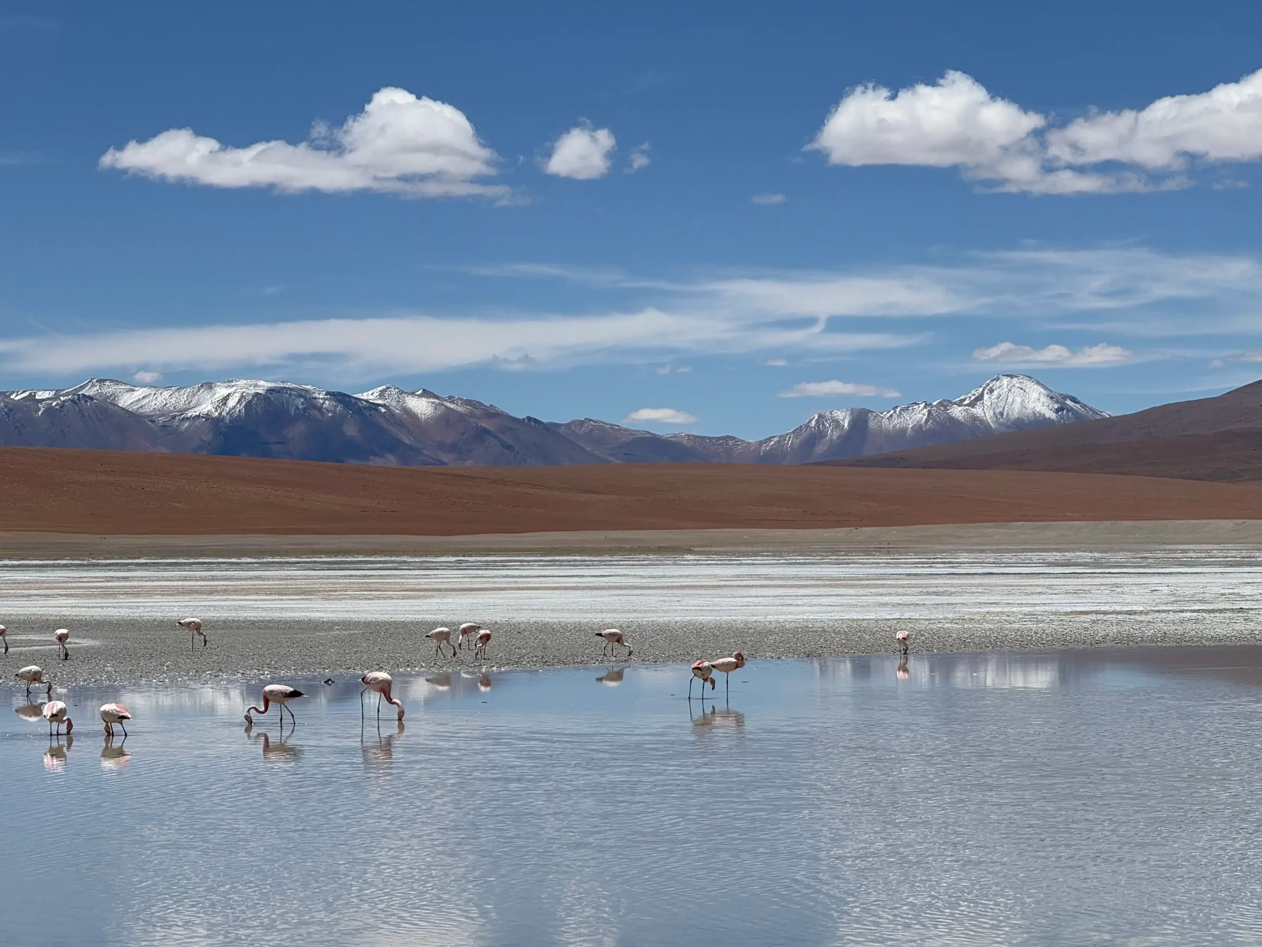 como visitar el salar de uyuni
