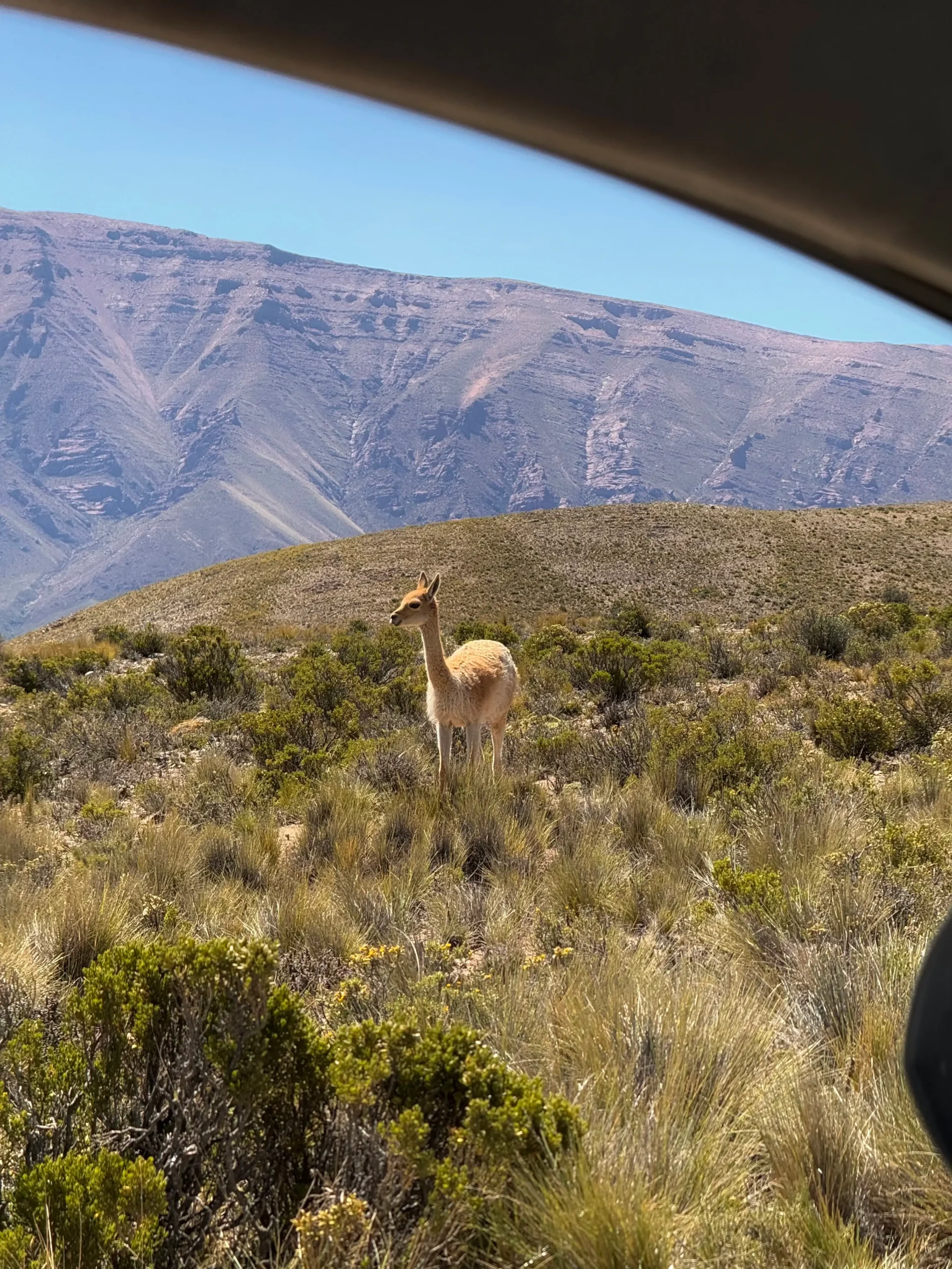 como llegar al Hornocal por libre montaña 14 colores