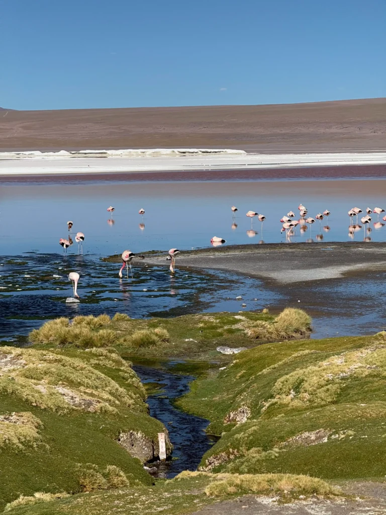 como visitar el salar de uyuni