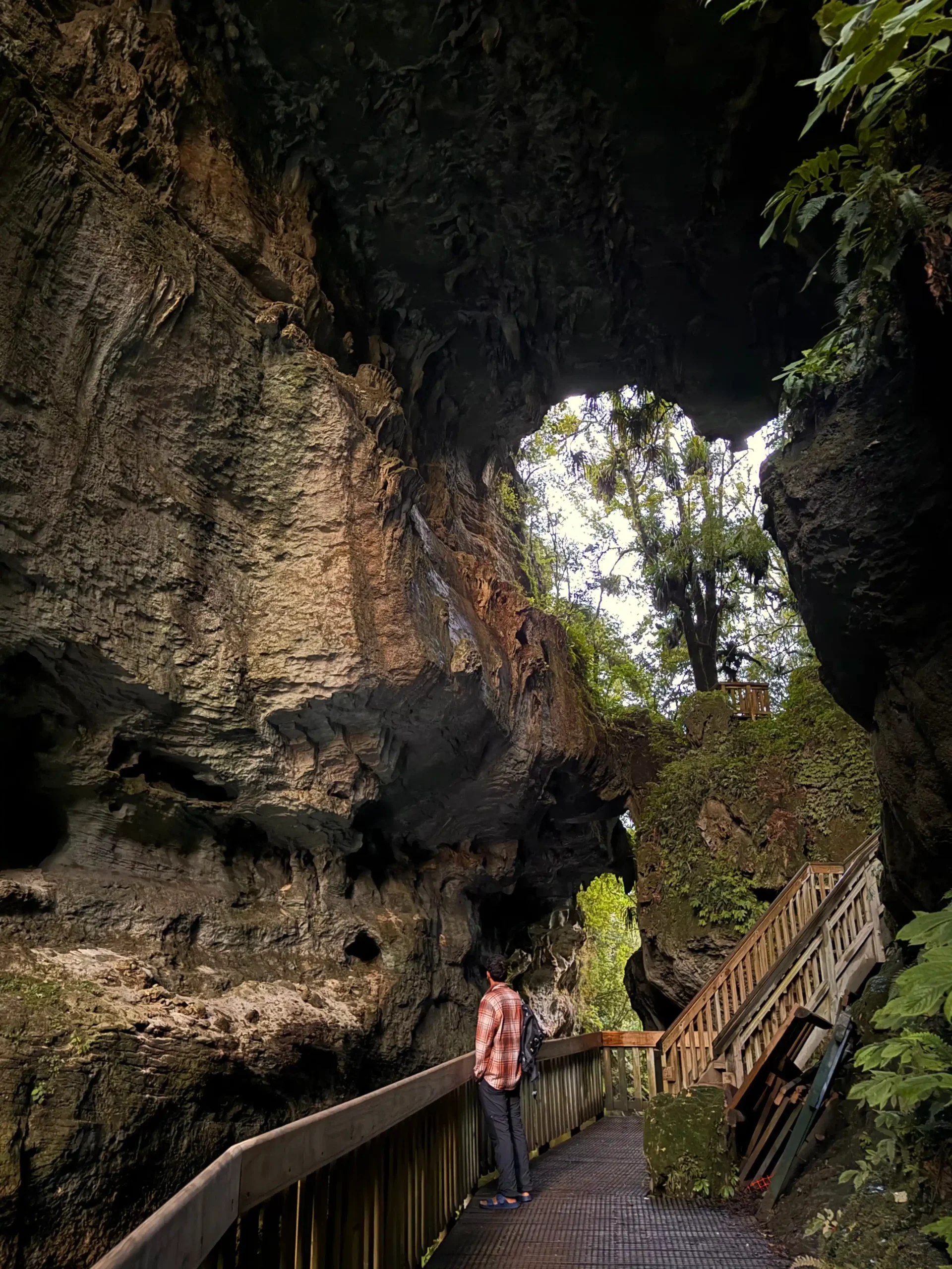Nueva Zelanda en 21 días