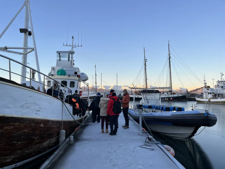 pau en un puerto helado en Islandia