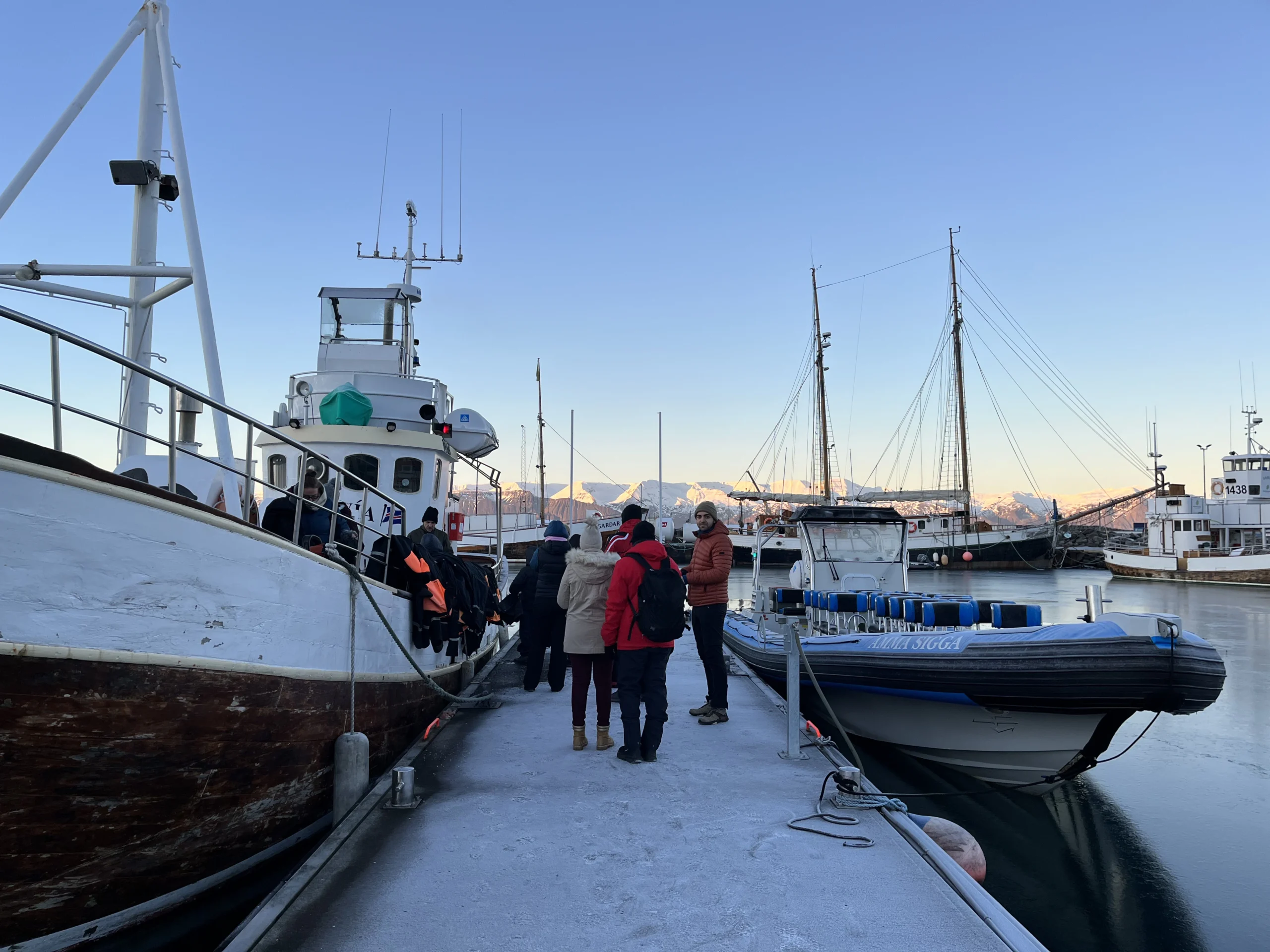 pau en un puerto helado en Islandia