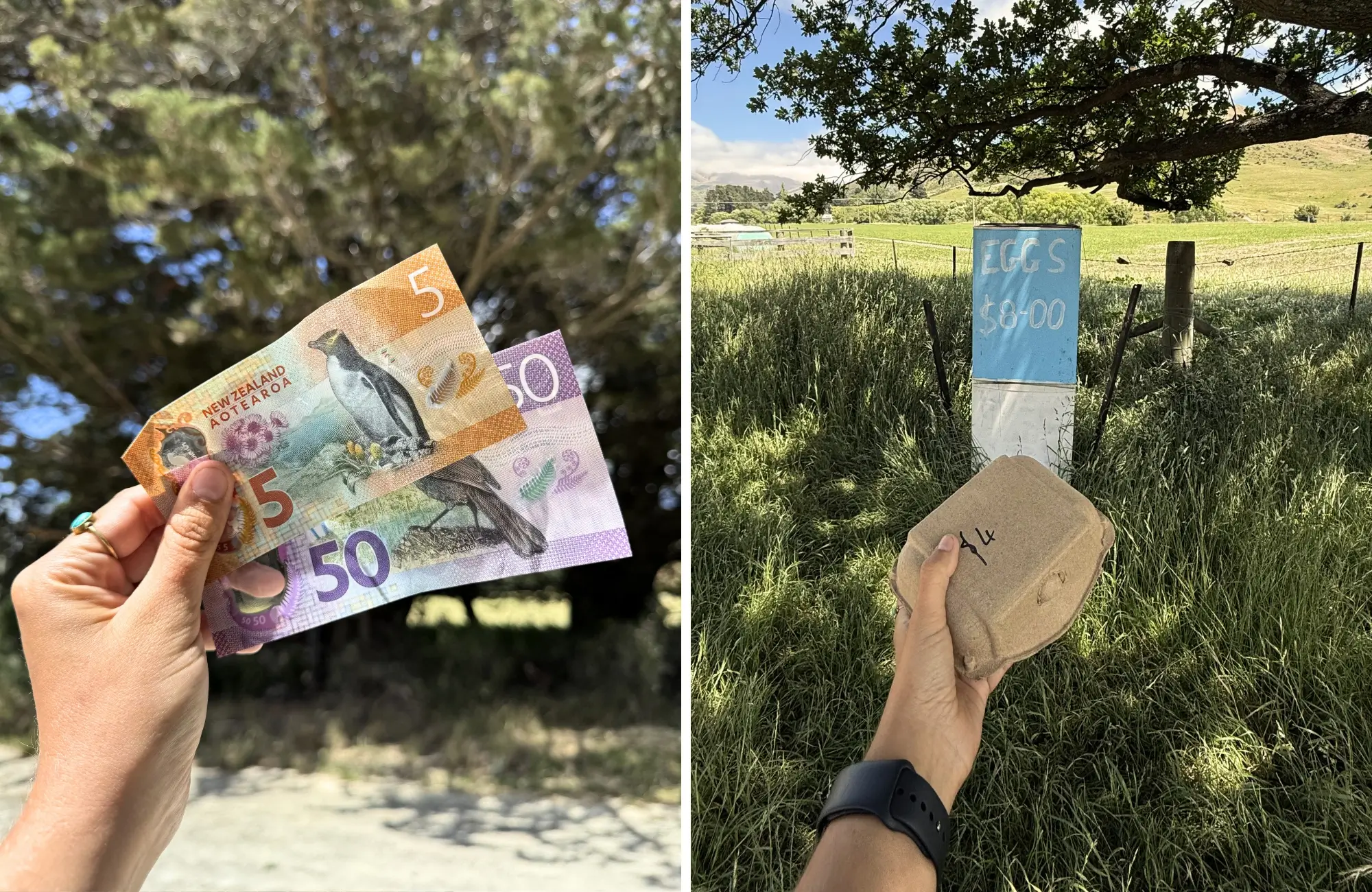 Nueva Zelanda en 15 días